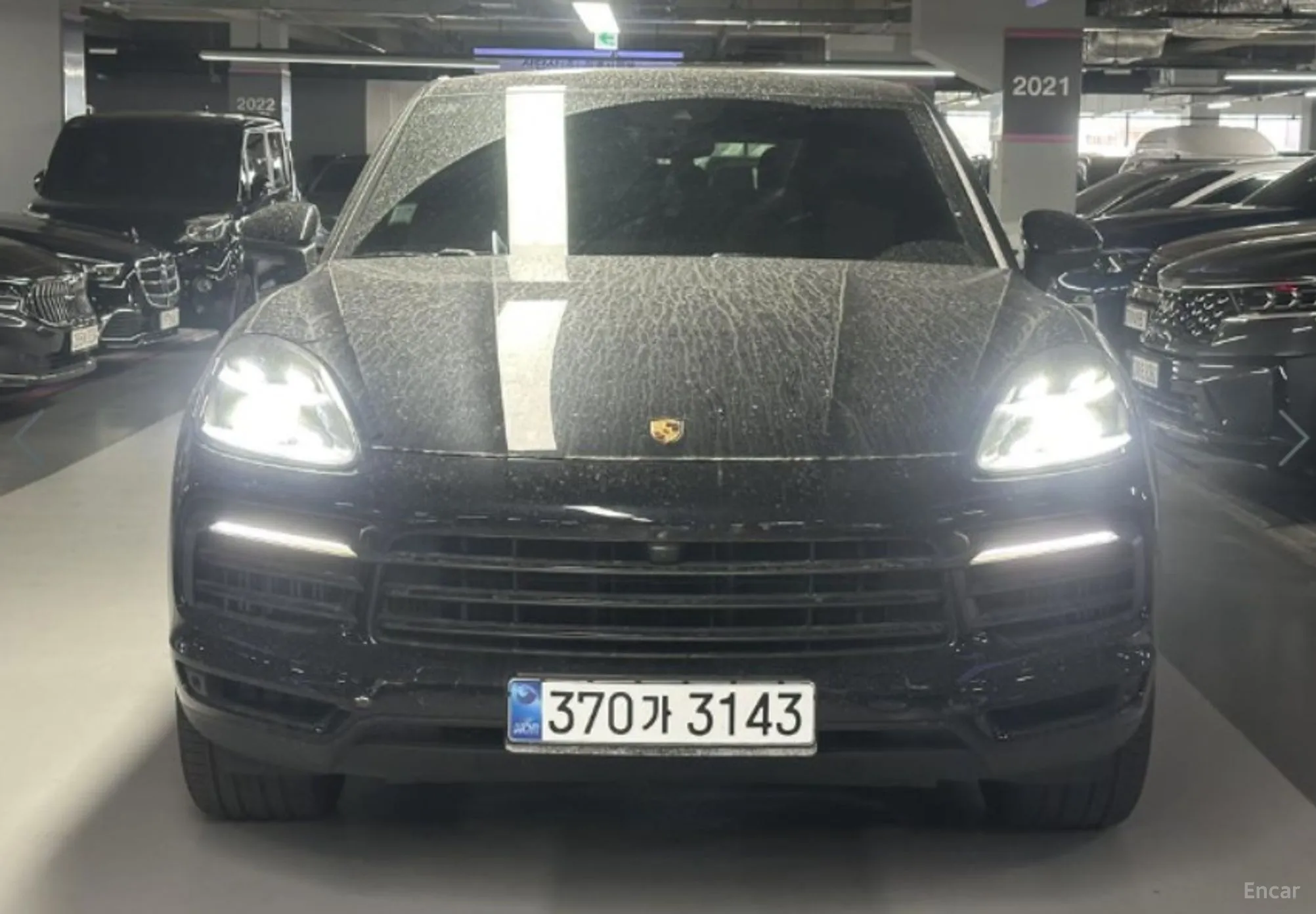 Cayenne (PO536)