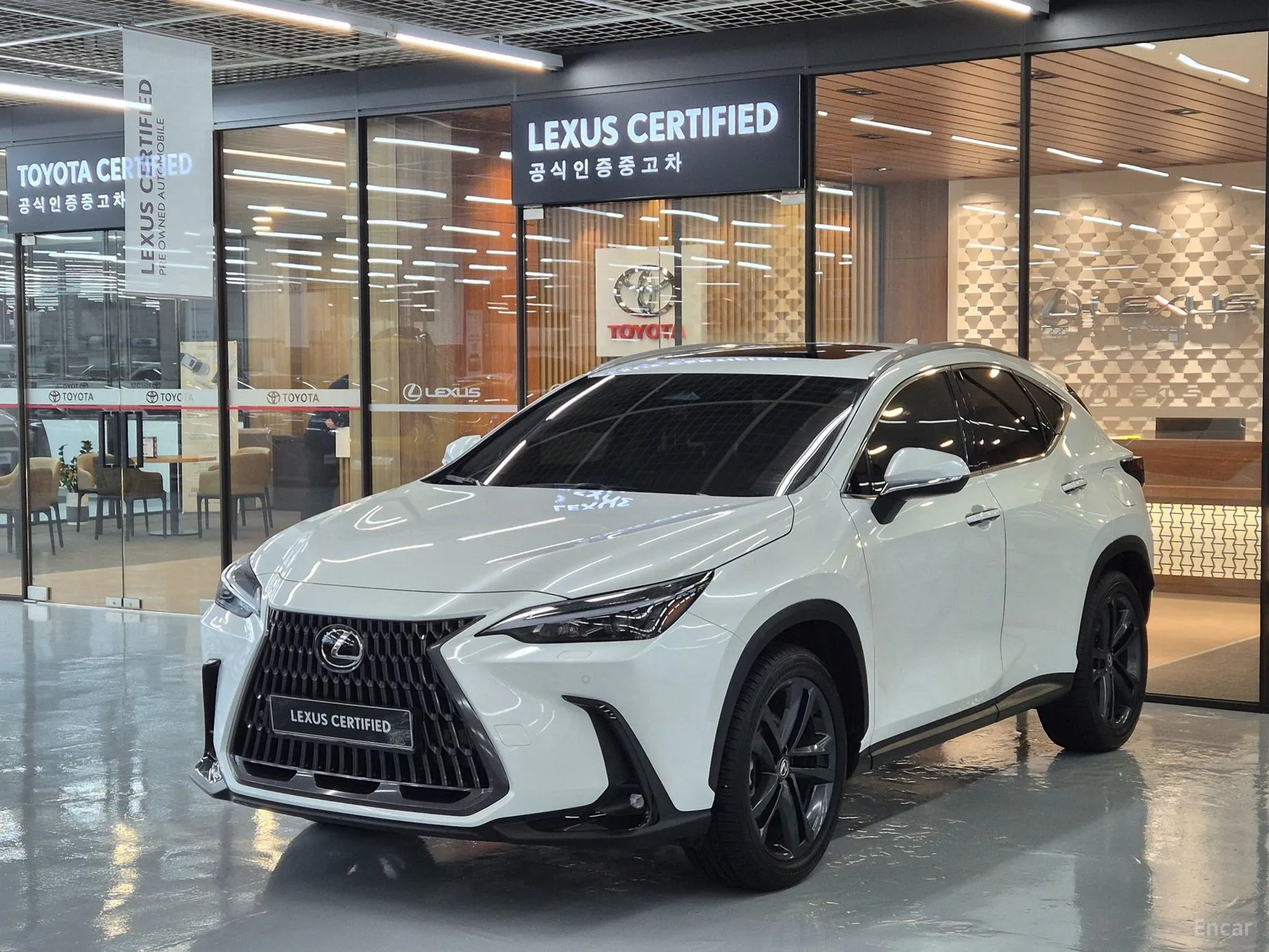 Lexus NX350h Gen 2