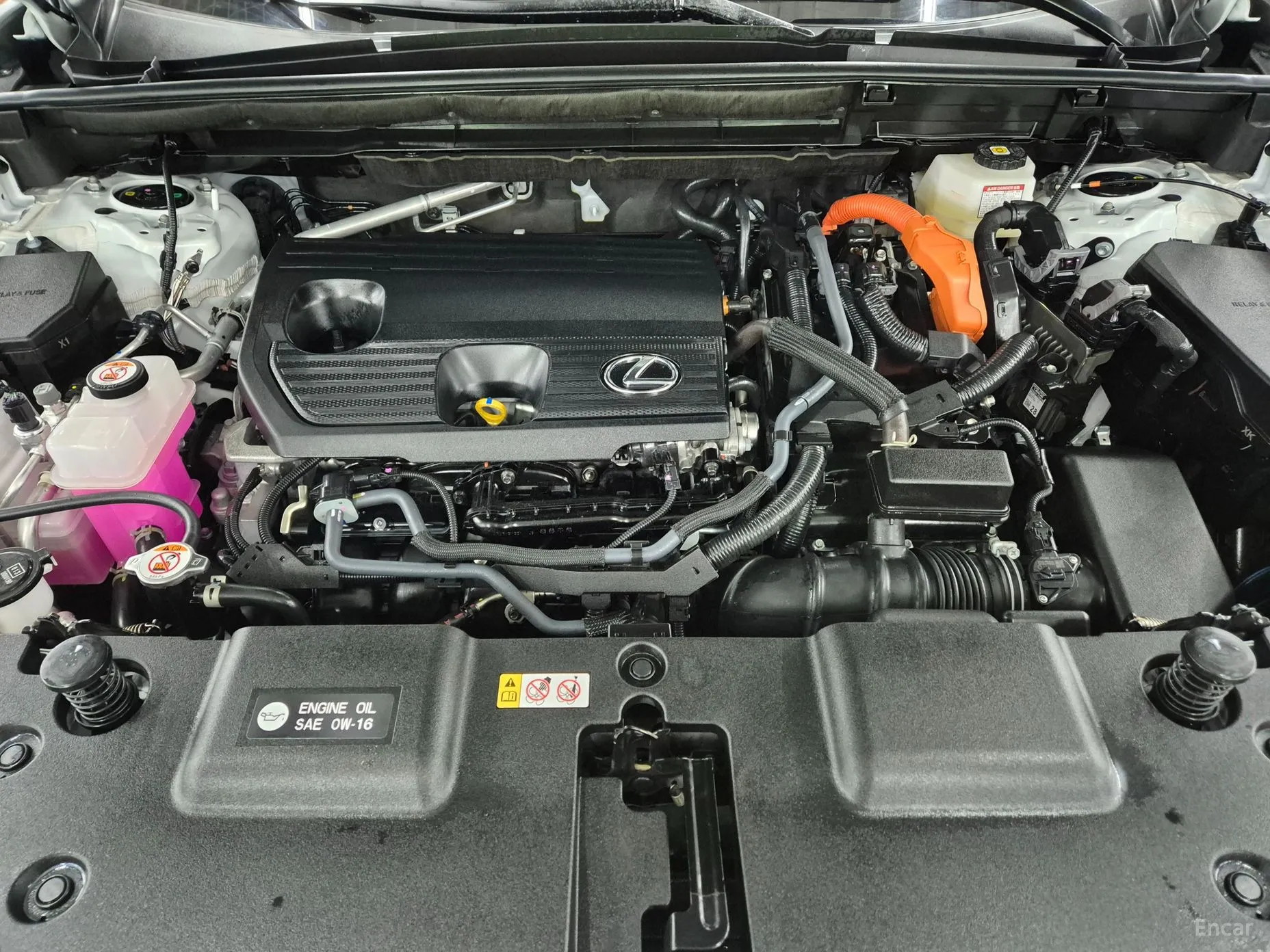 Lexus NX350h Gen 2 превью 19