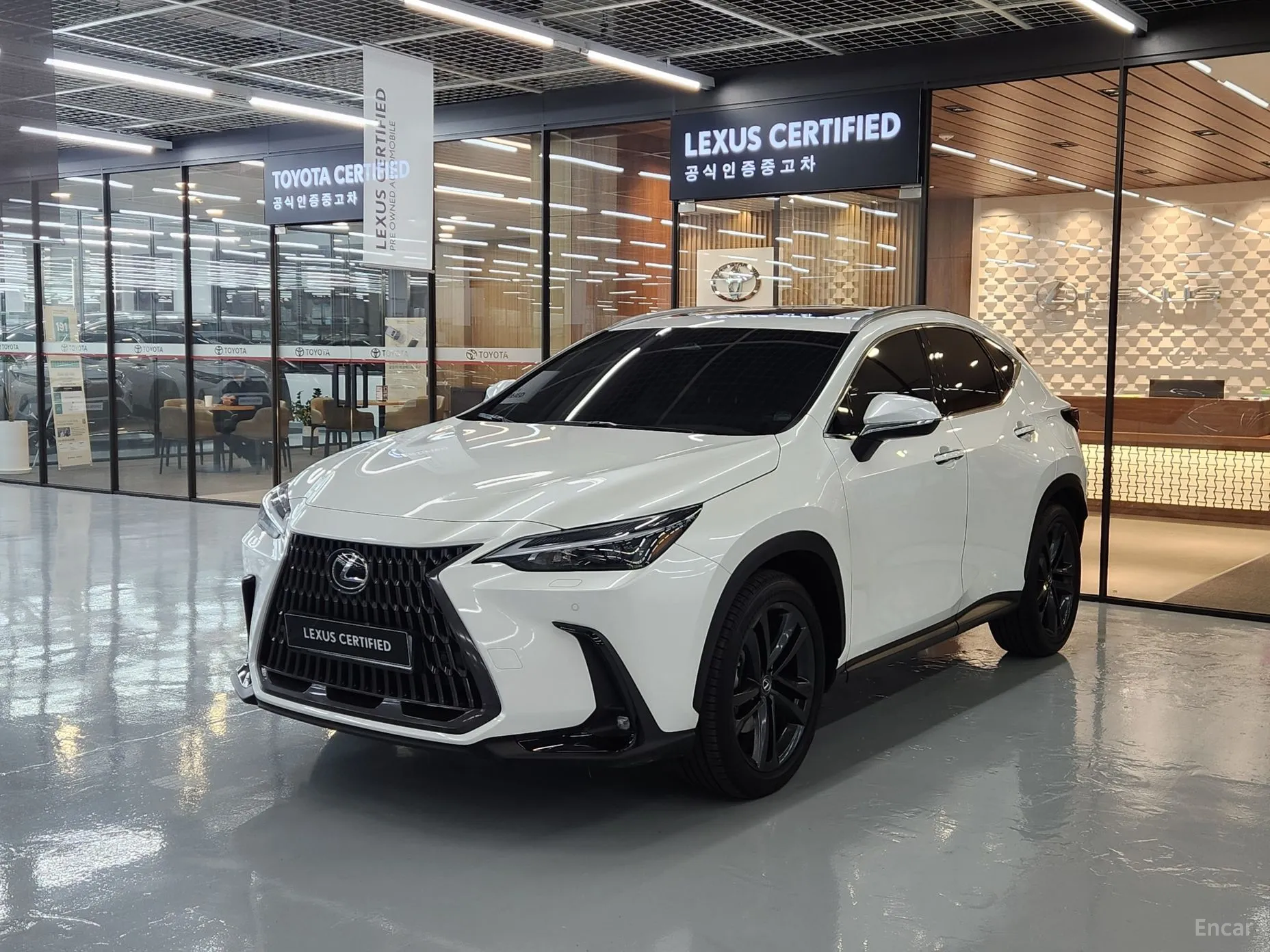 Lexus NX350h Gen 2