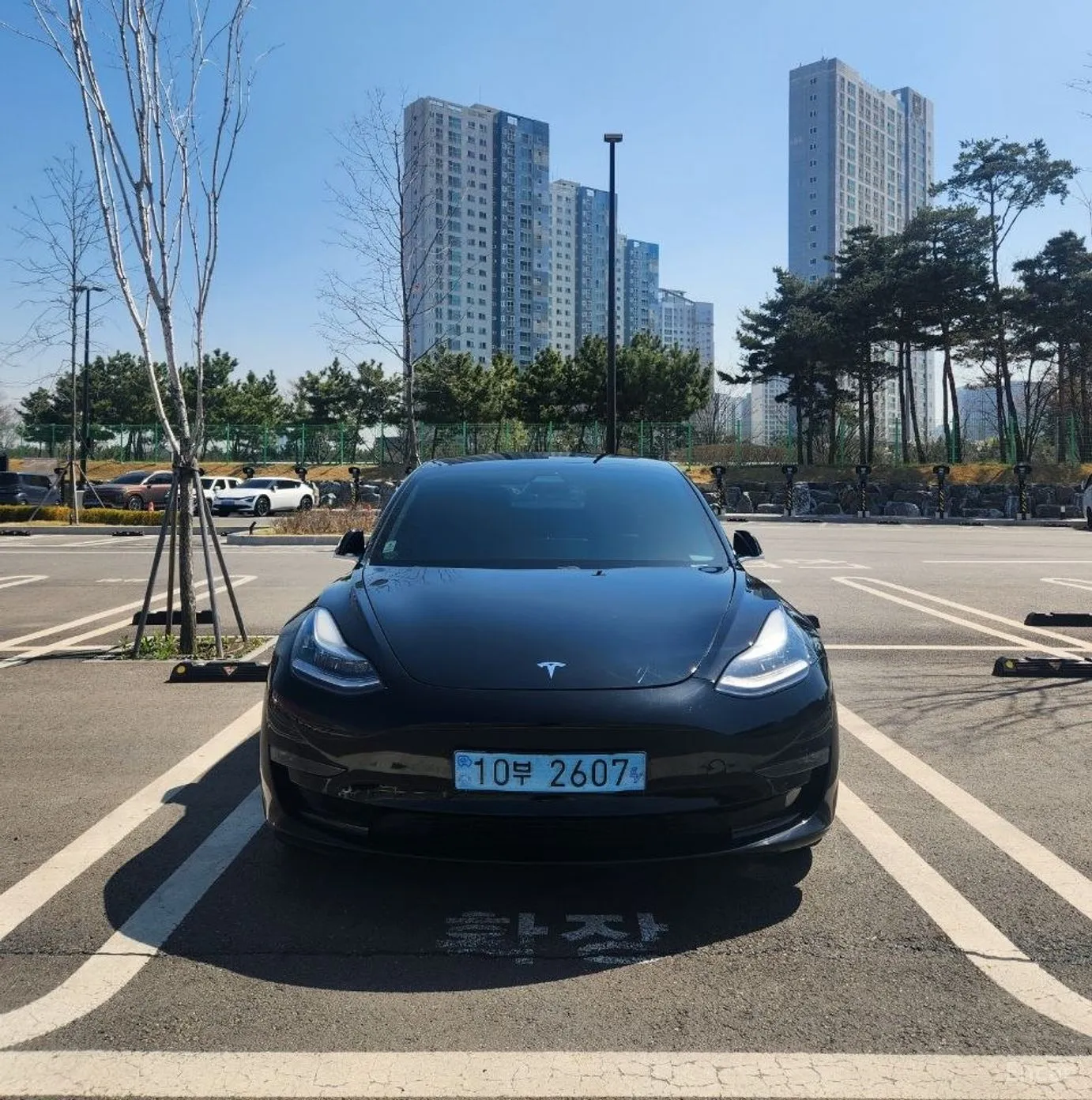 Tesla Model 3 превью 3