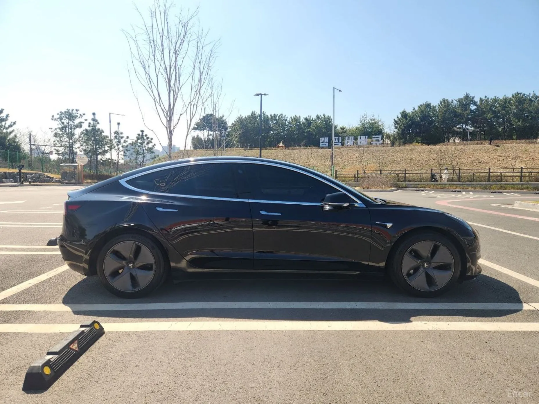 Tesla Model 3 превью 6