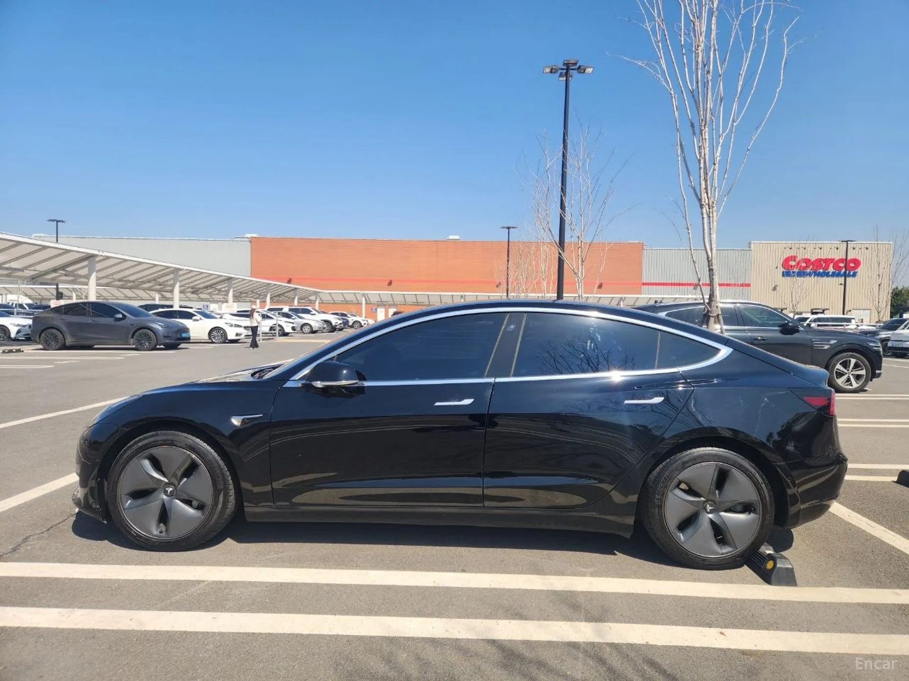 Tesla Model 3 превью 7