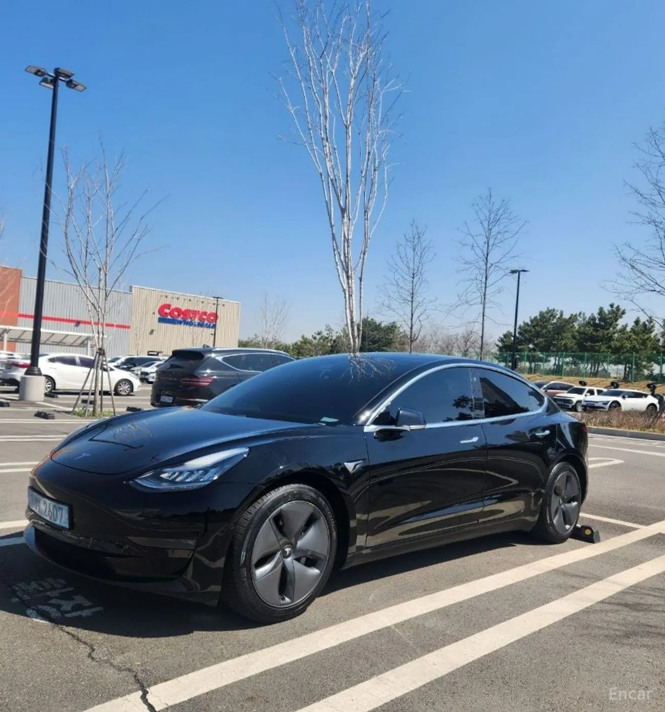 Tesla Model 3 превью 8