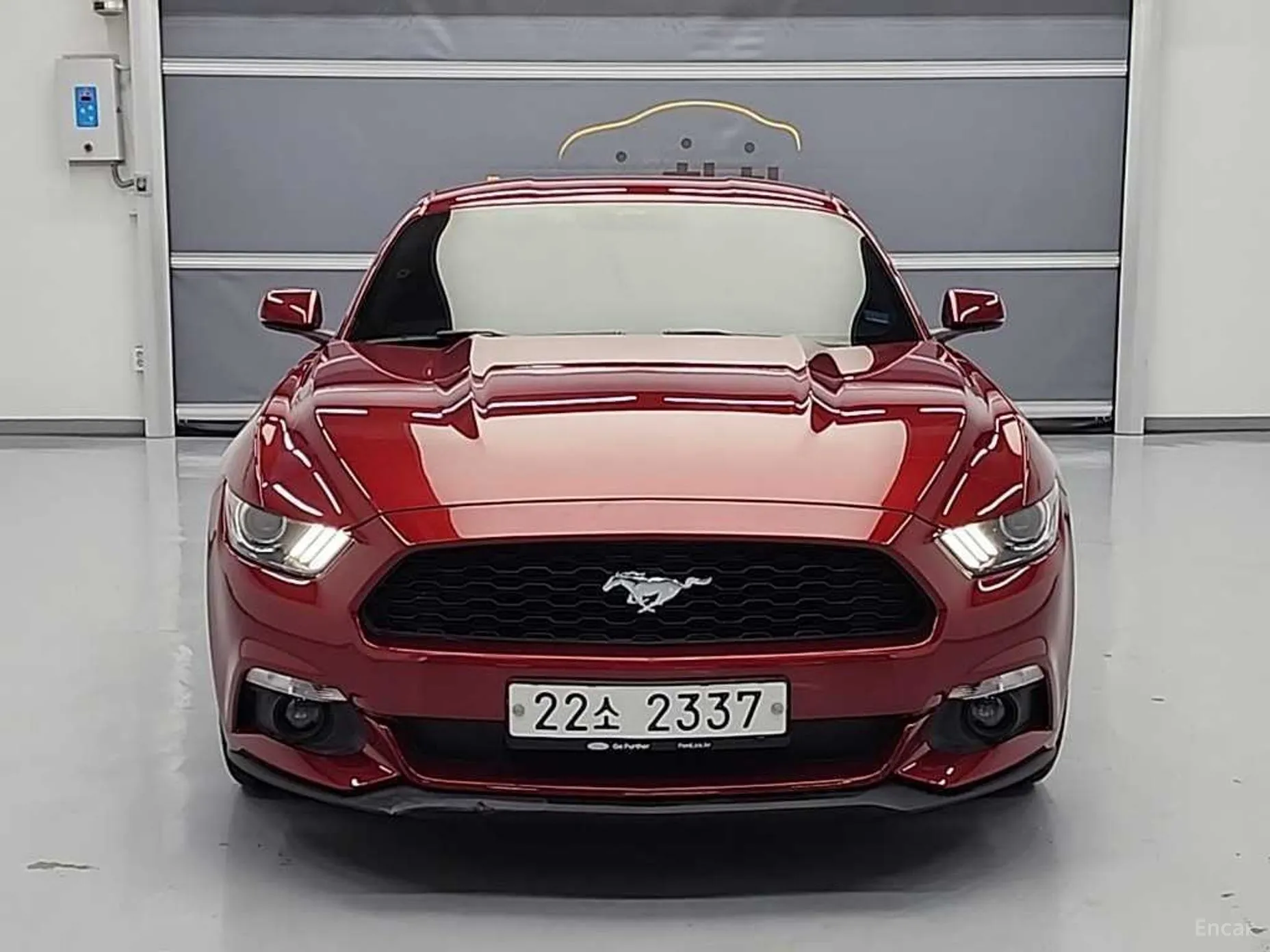 Mustang