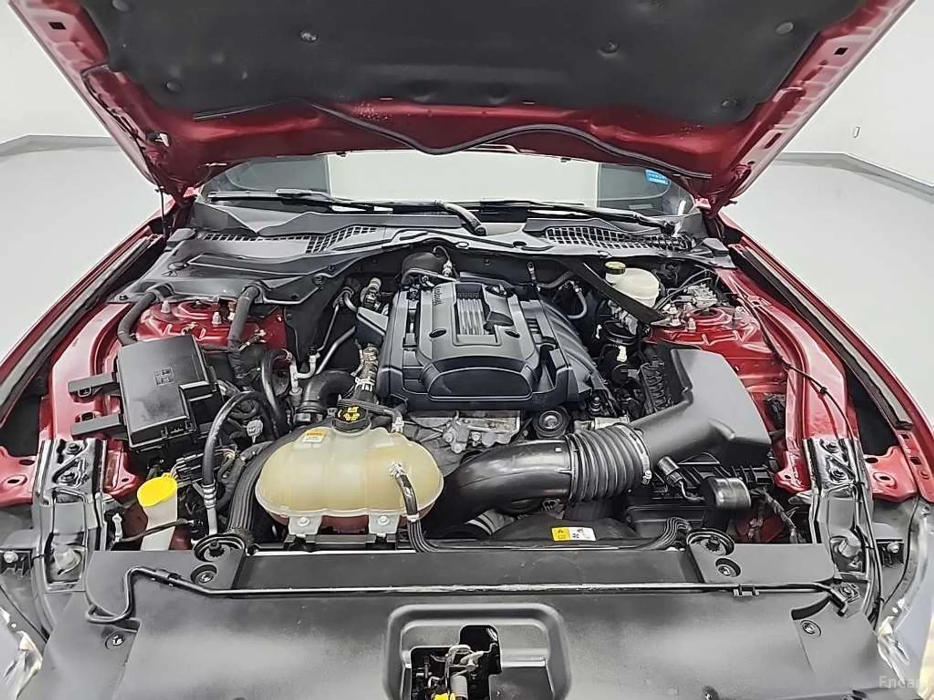 Ford Mustang превью 5