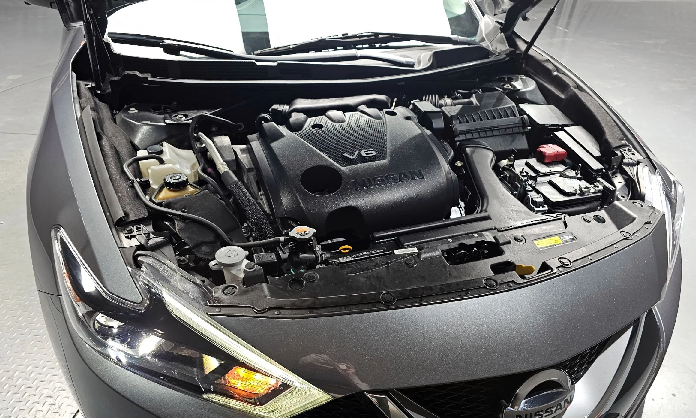 Nissan Maxima (A36) превью 6