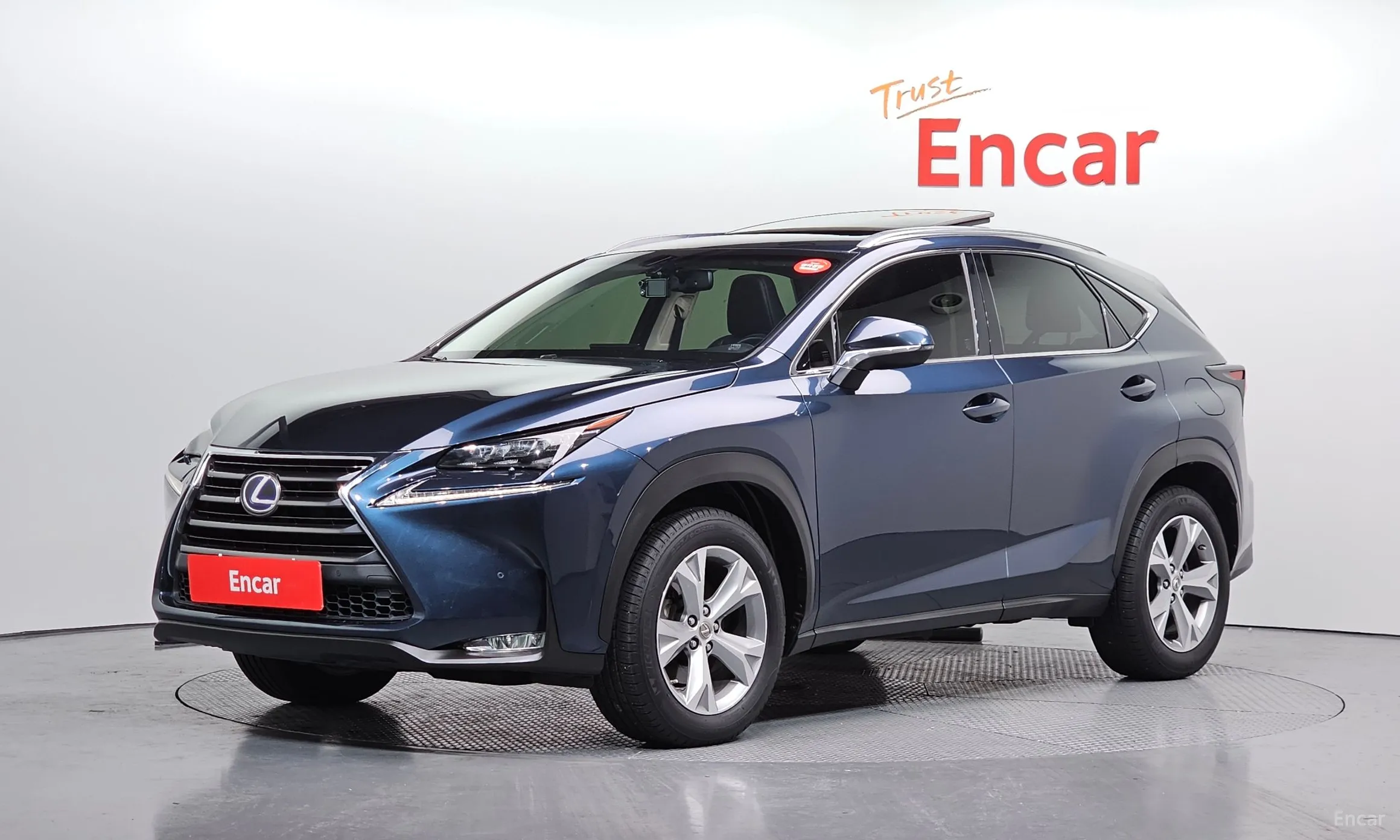Lexus NX300h