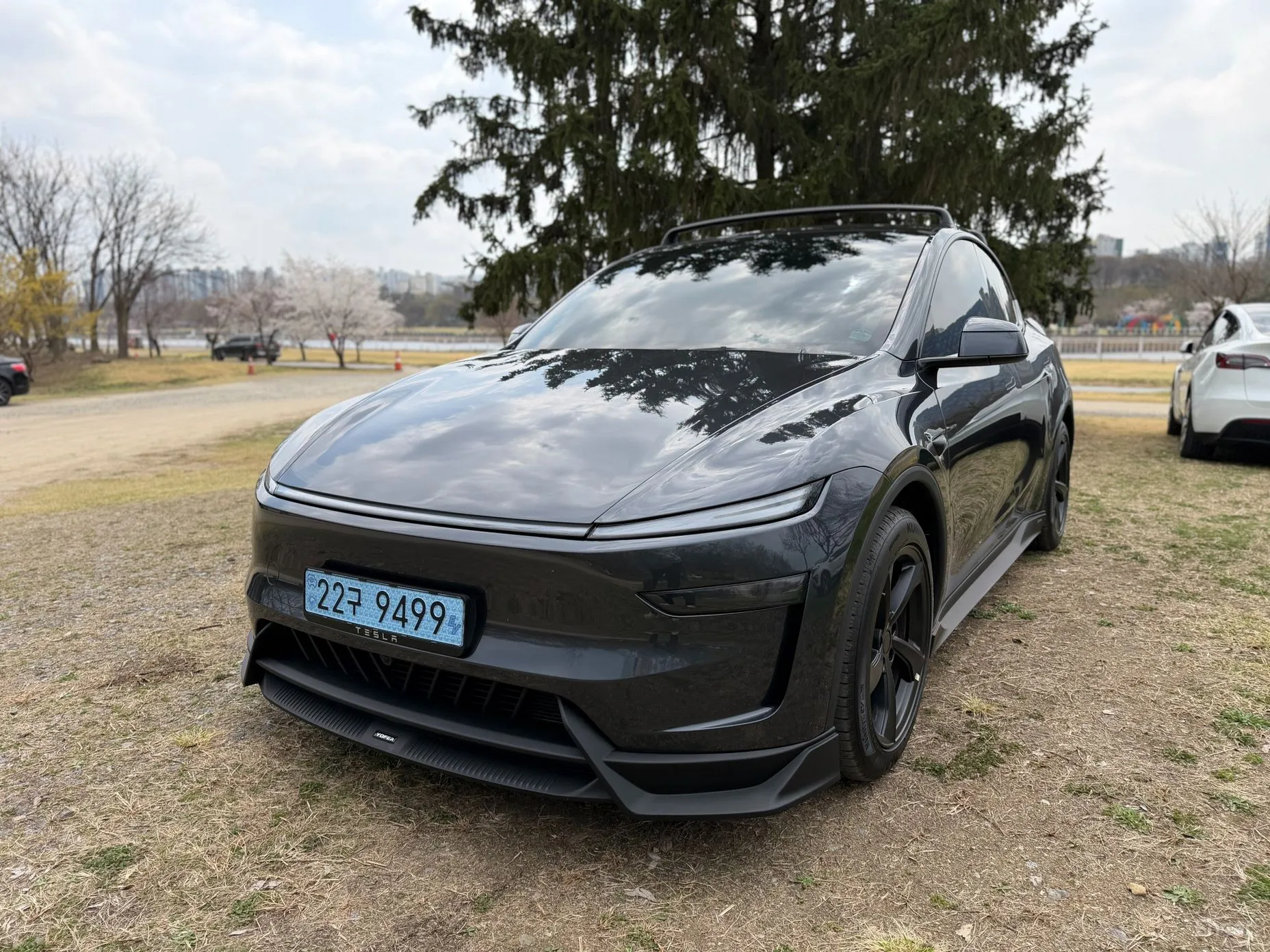 Model Y