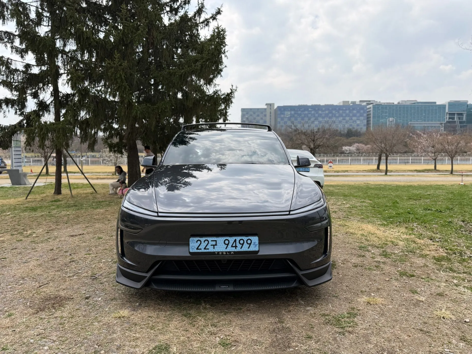 Tesla Model Y превью 2