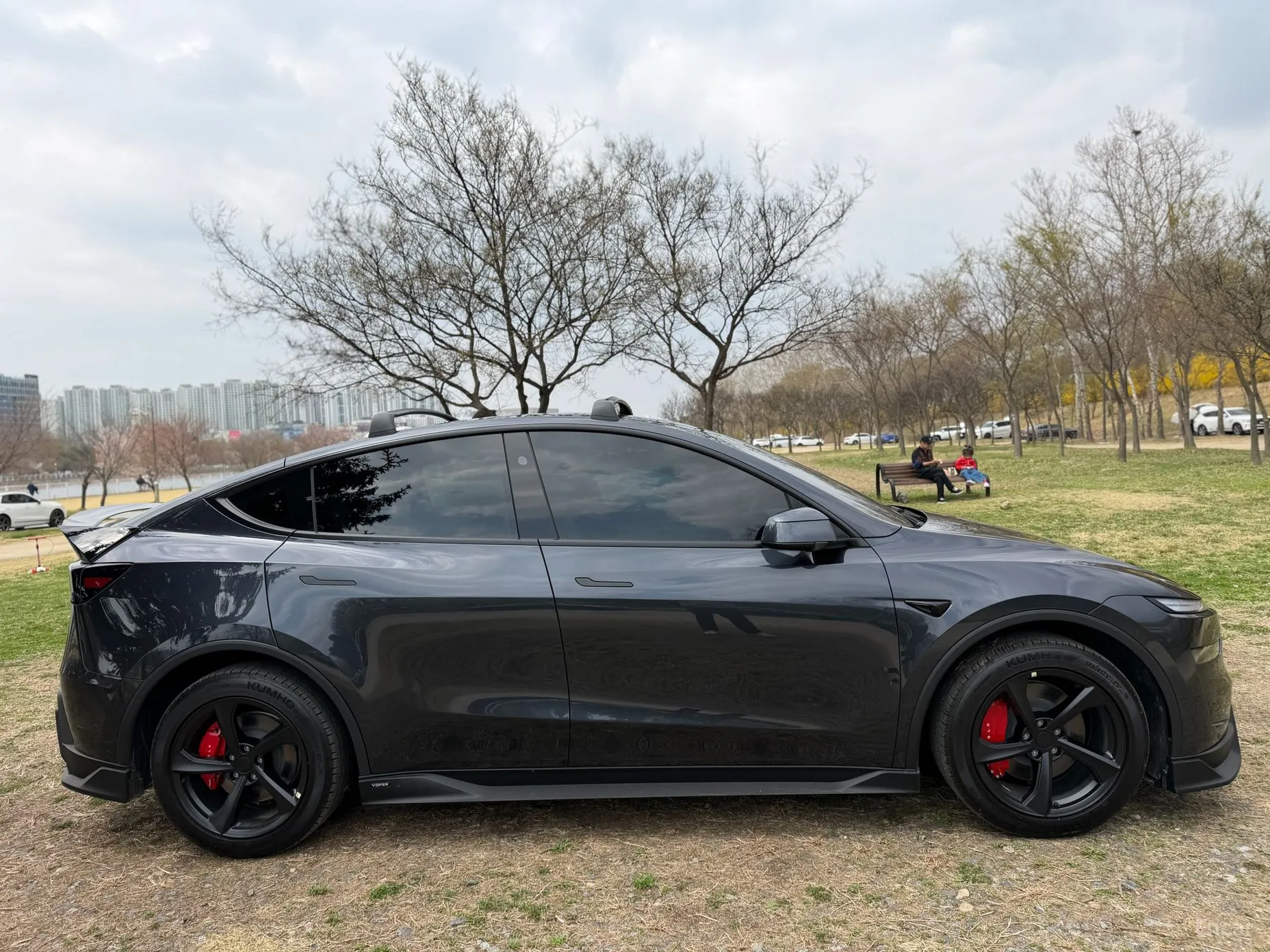 Tesla Model Y превью 4
