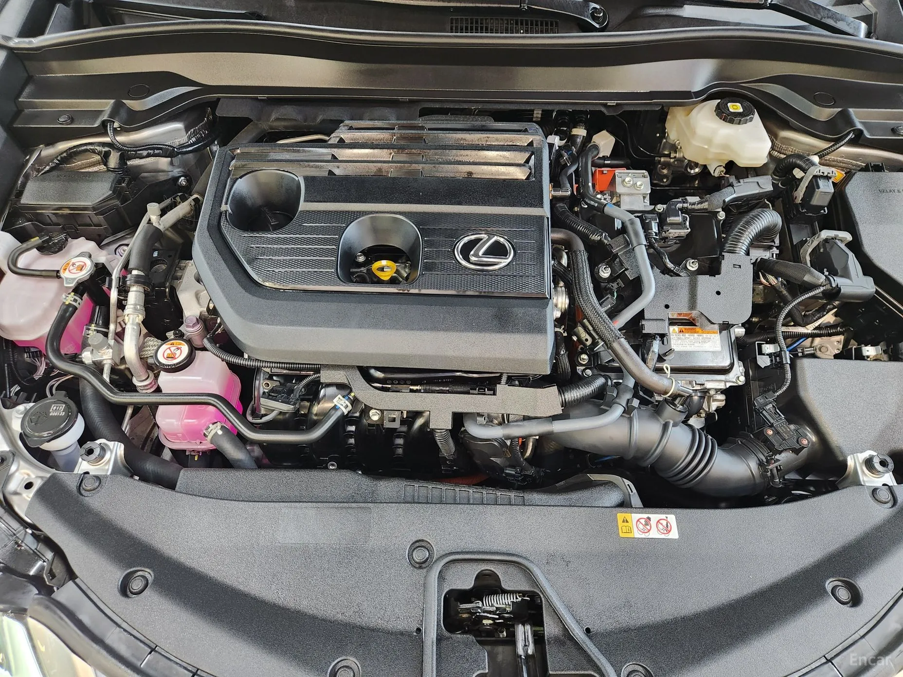 Lexus UX300h превью 6