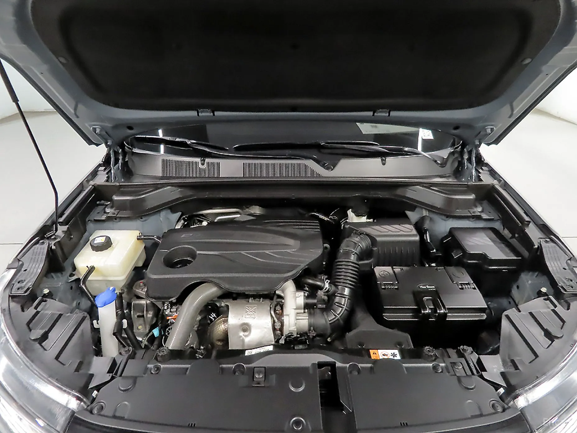KG Mobility (SsangYong) Beautiful Korando превью 6