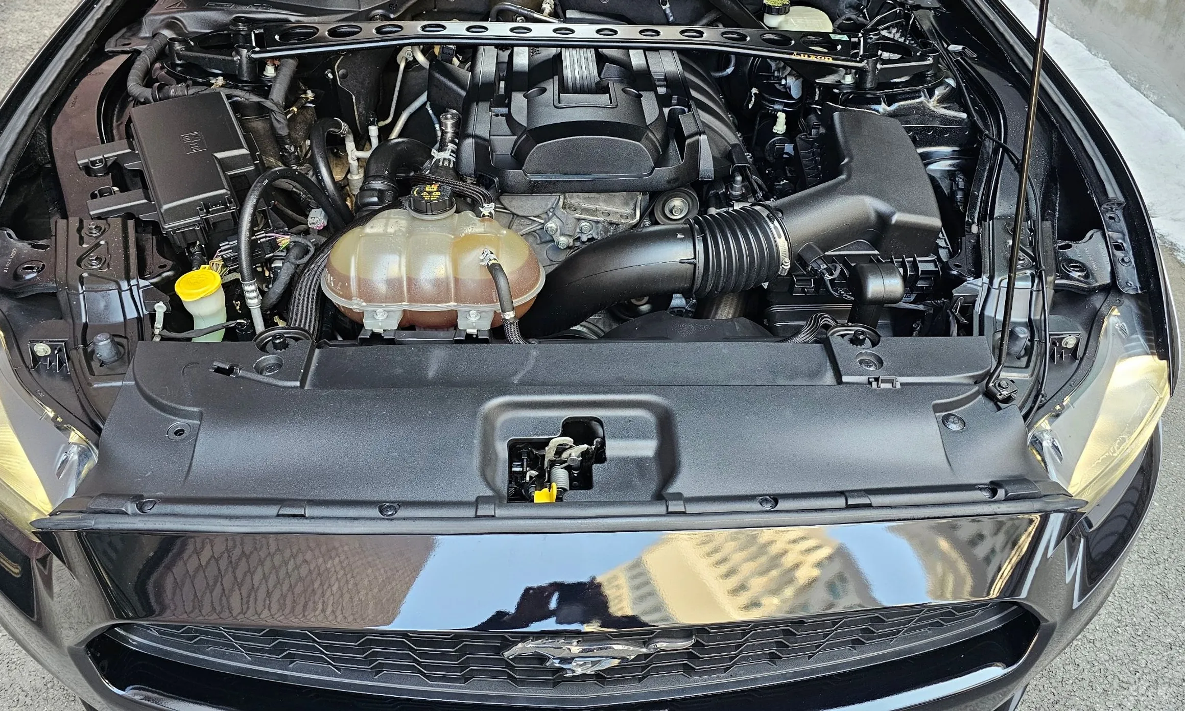 Ford Mustang превью 20