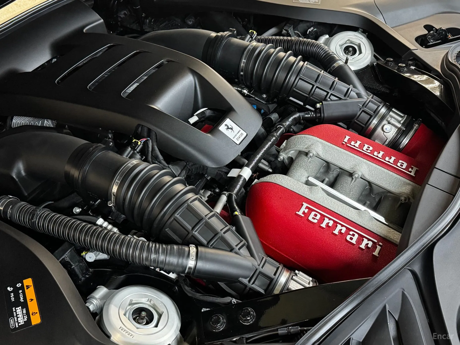 Ferrari Puro Sange превью 6