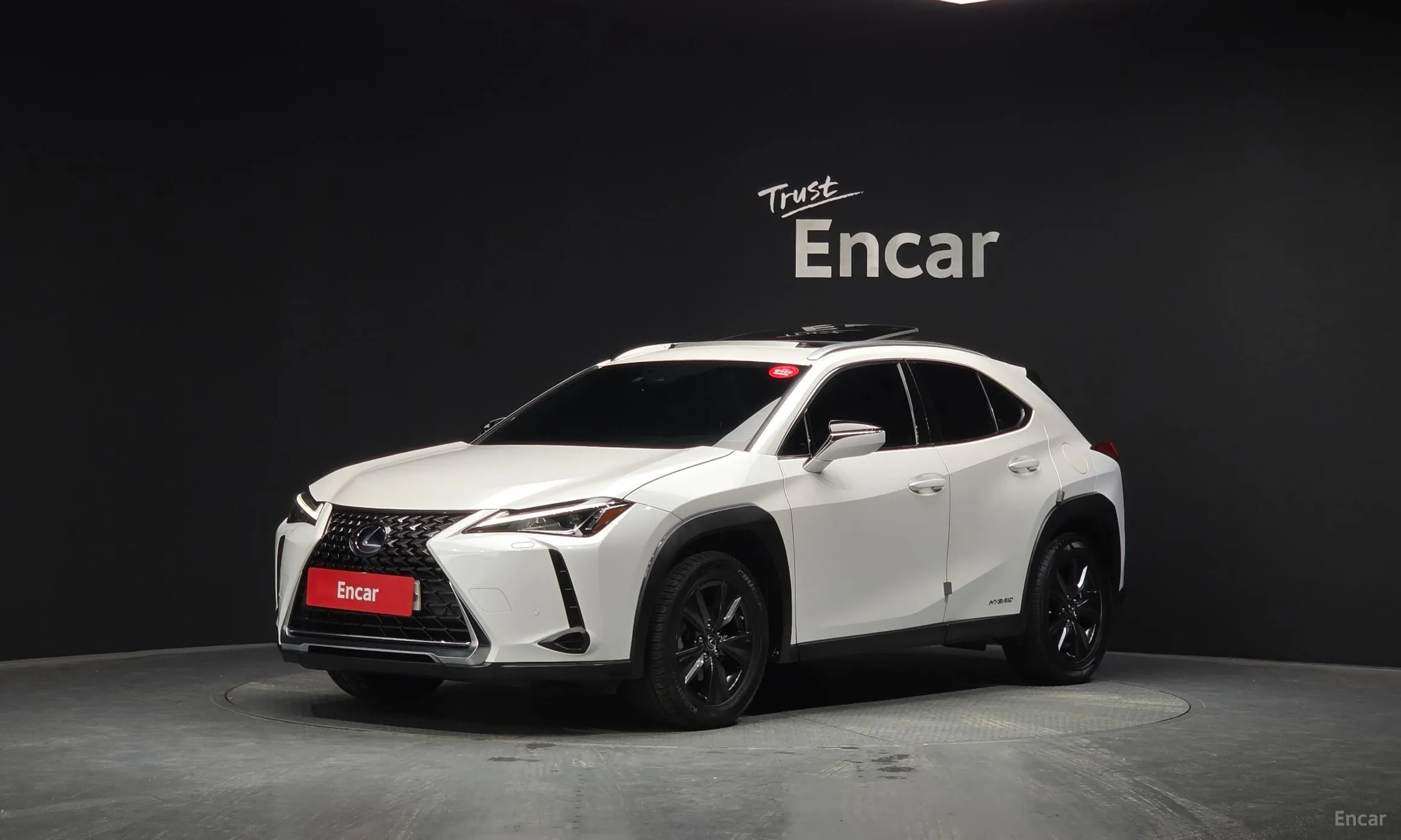 Lexus UX250h