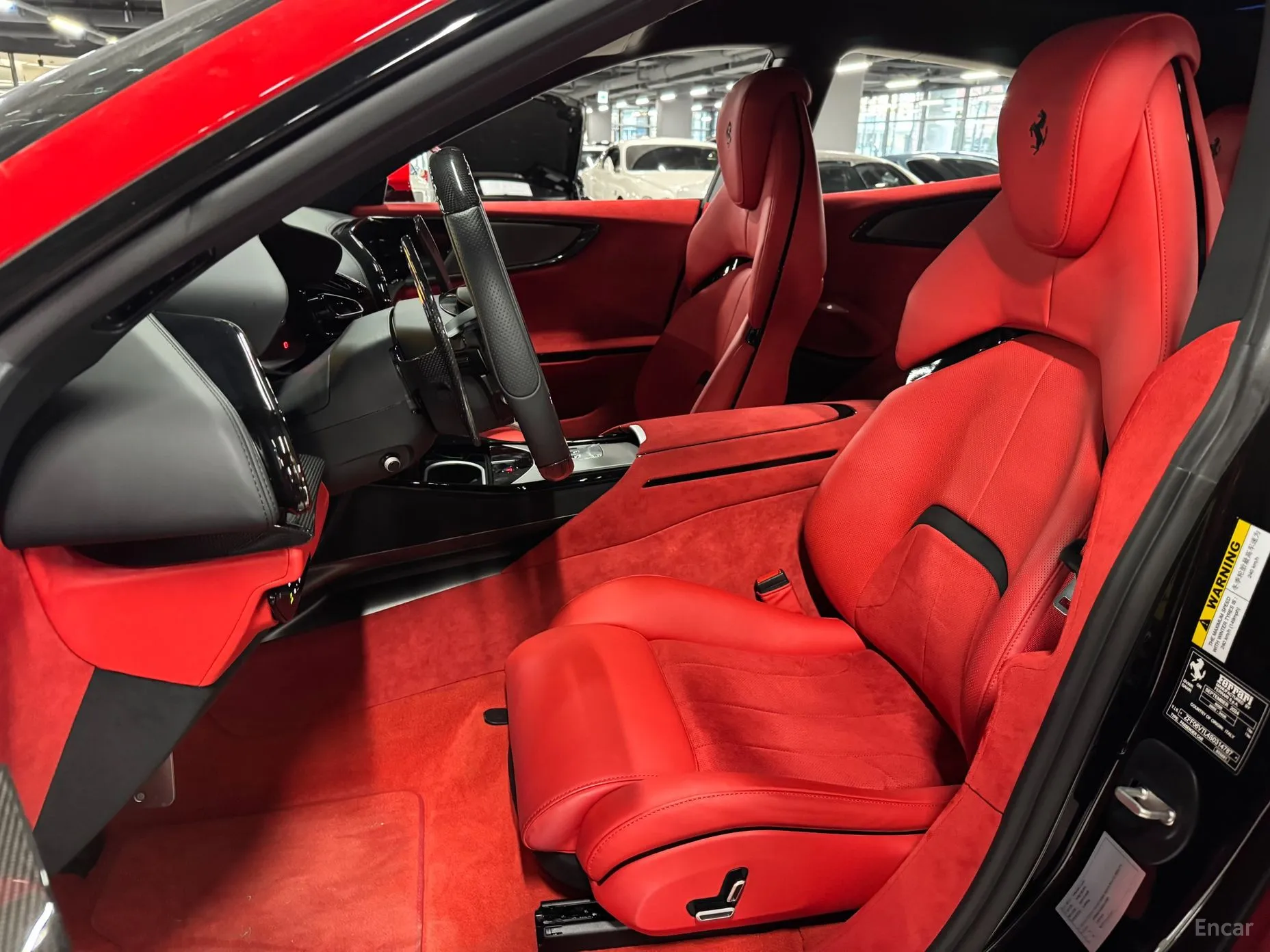 Ferrari Puro Sange превью 14