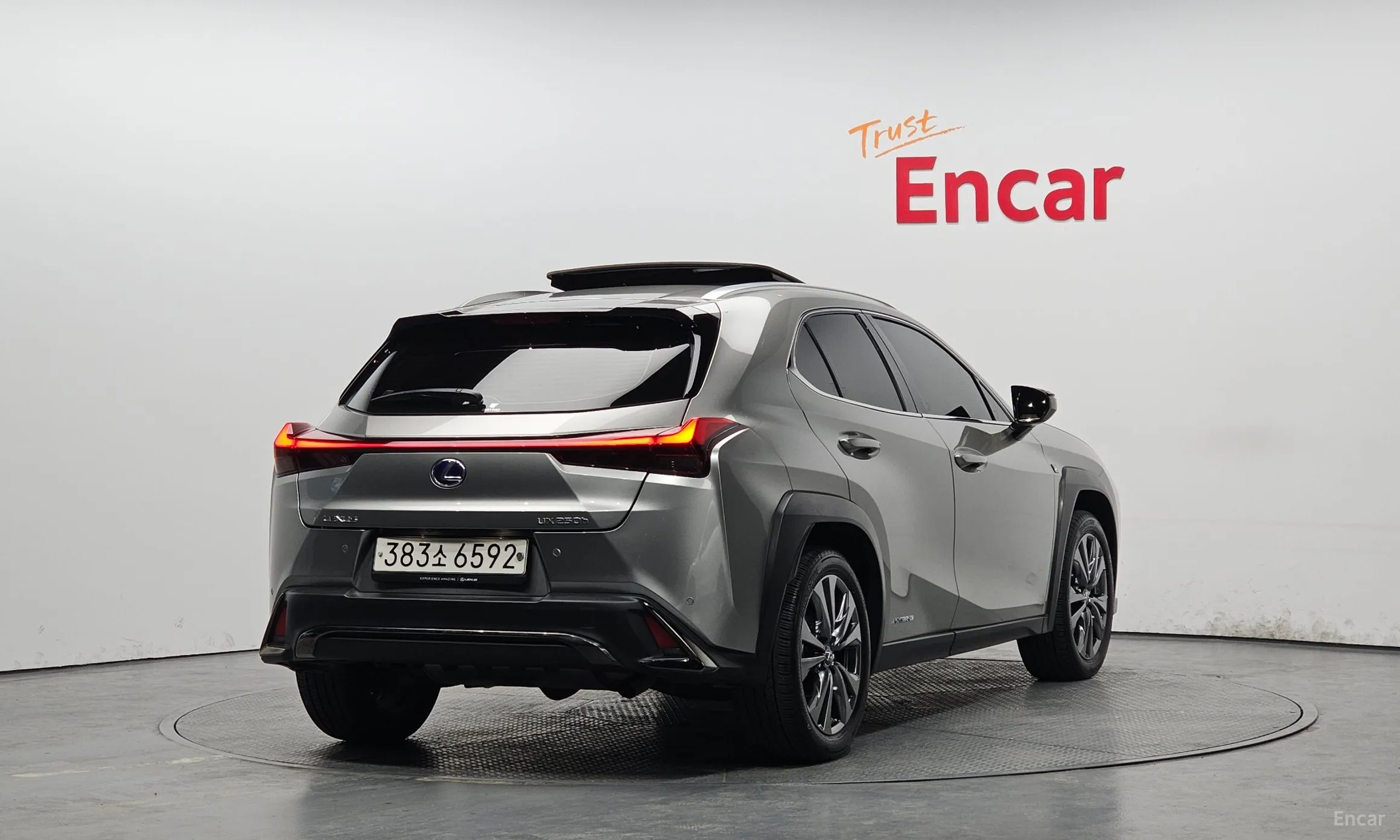 Lexus UX250h