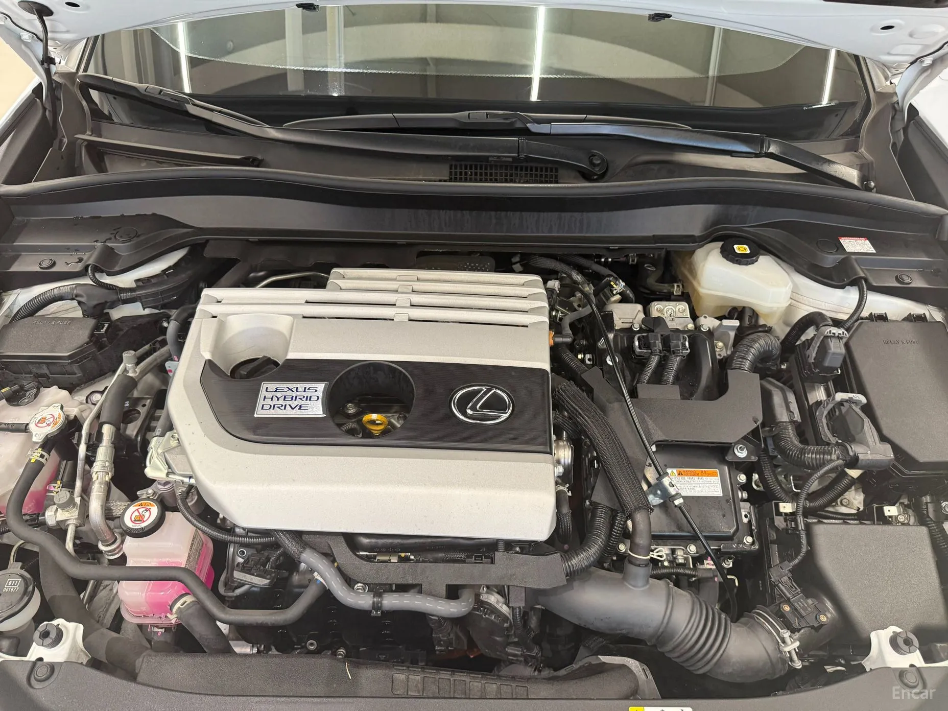 Lexus UX250h превью 6