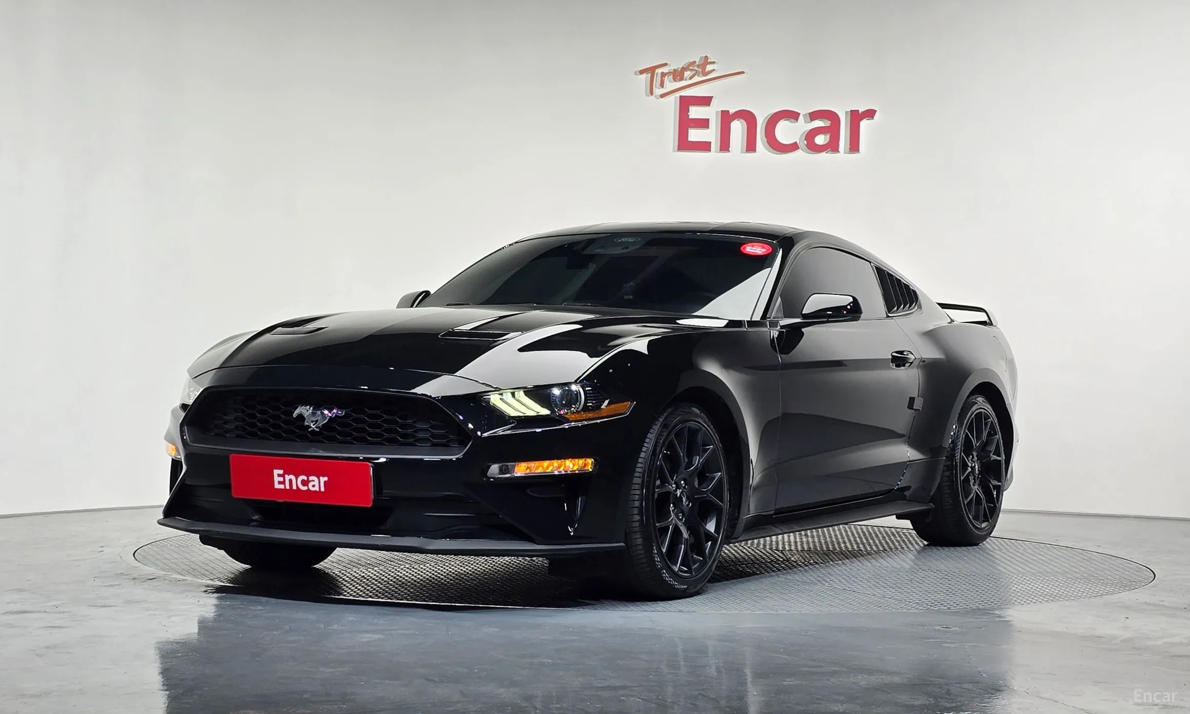 Mustang