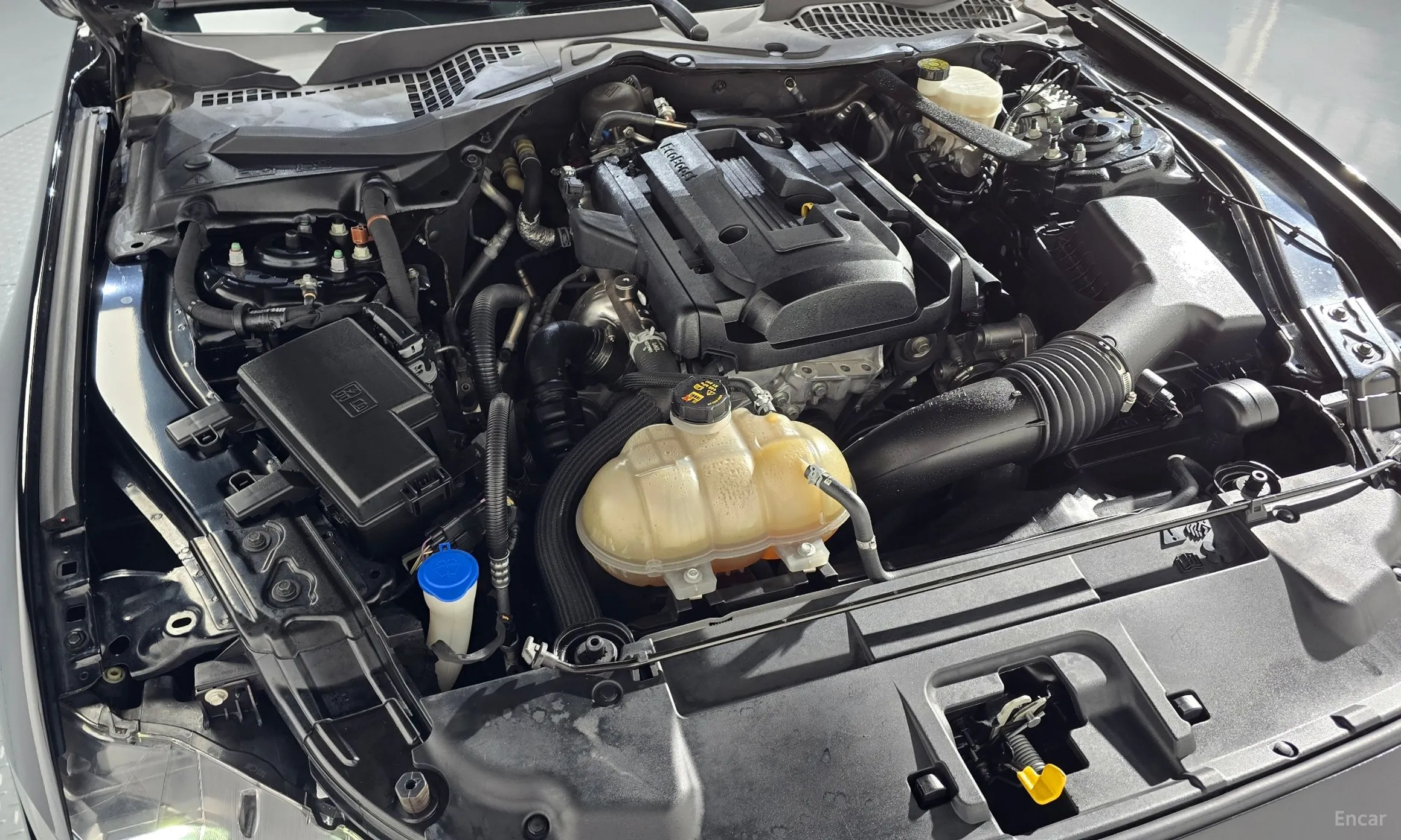 Ford Mustang превью 6