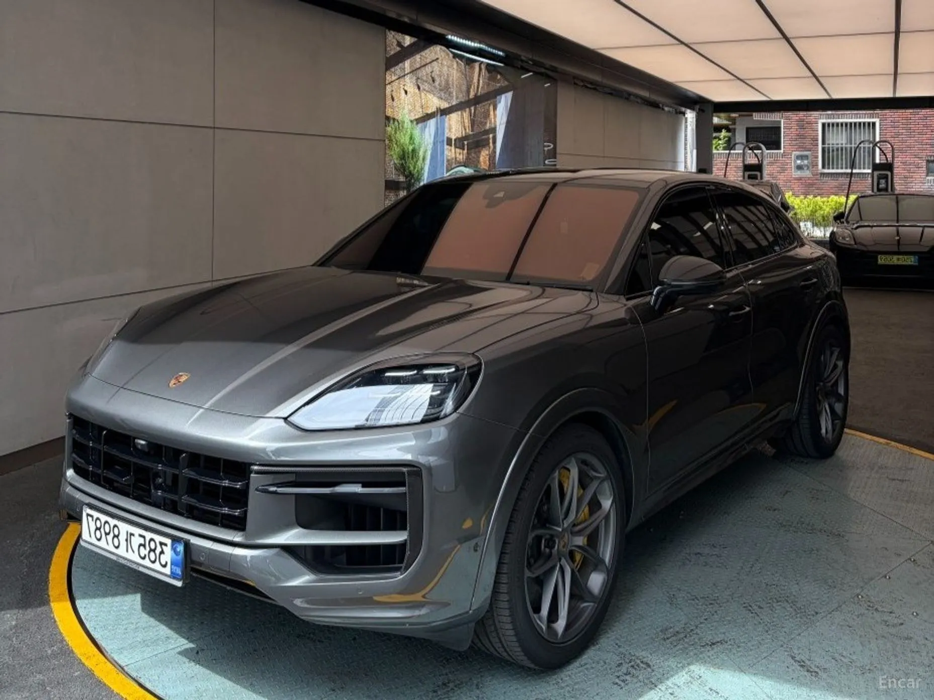 Cayenne (PO536)