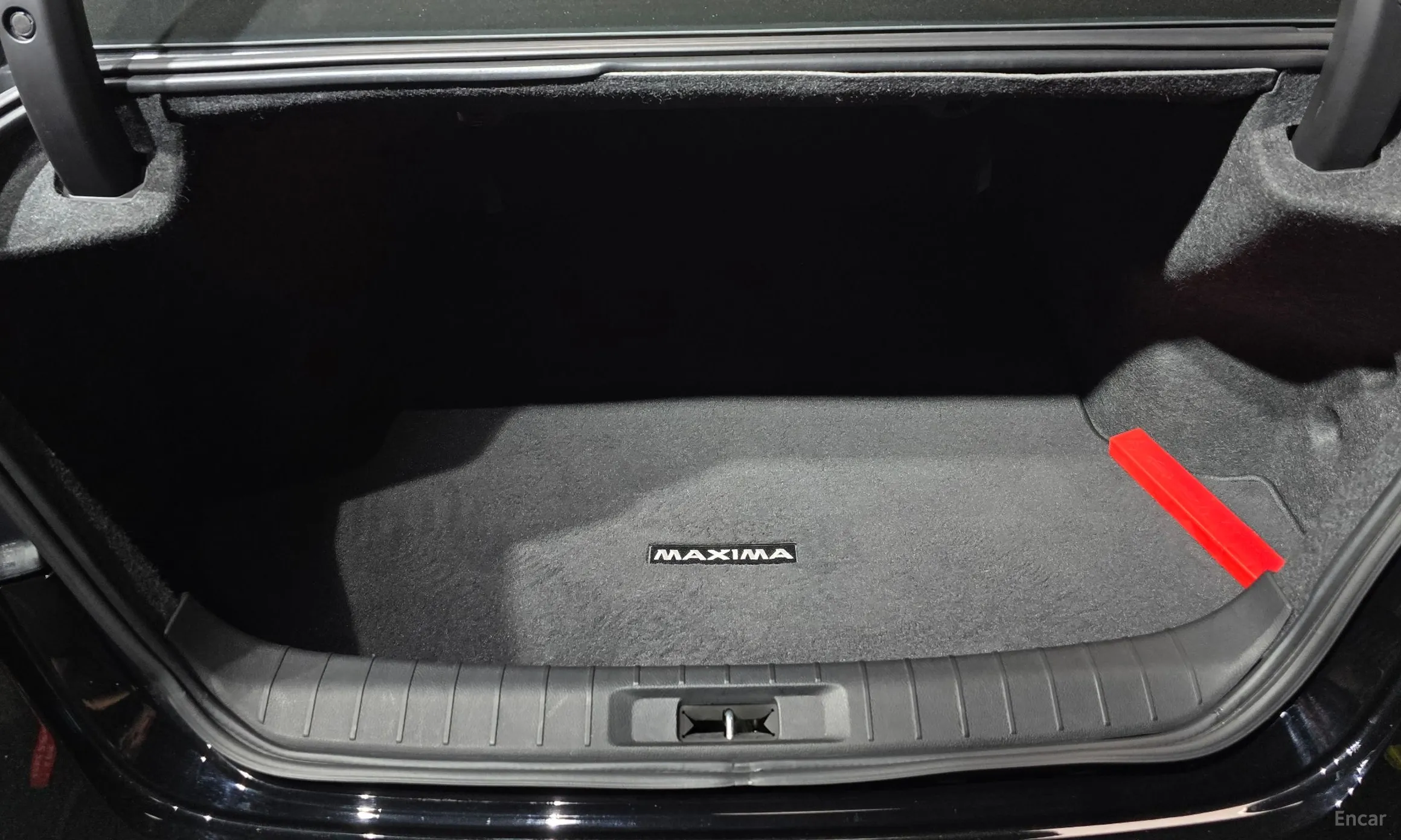 Nissan Maxima (A36) превью 20