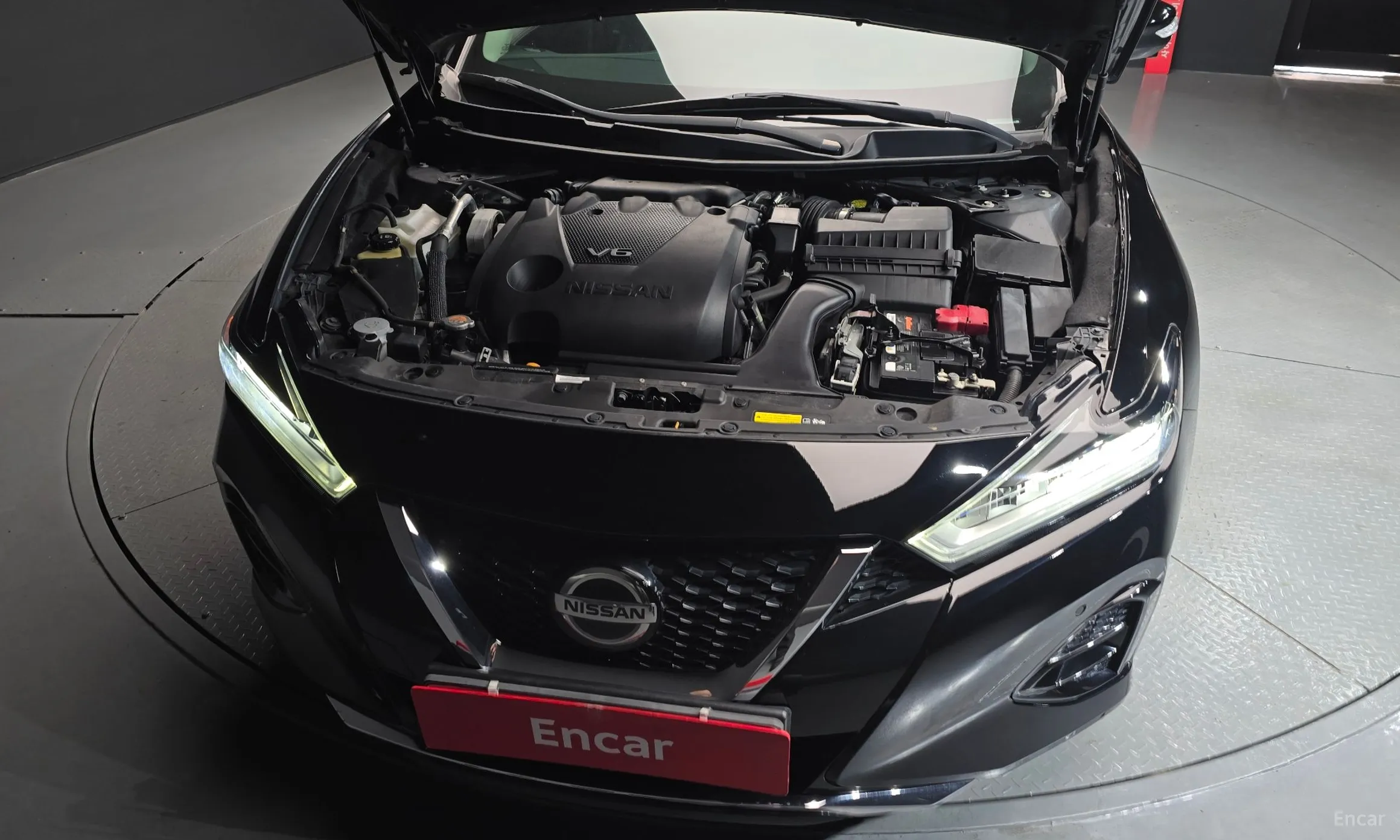 Nissan Maxima (A36) превью 6