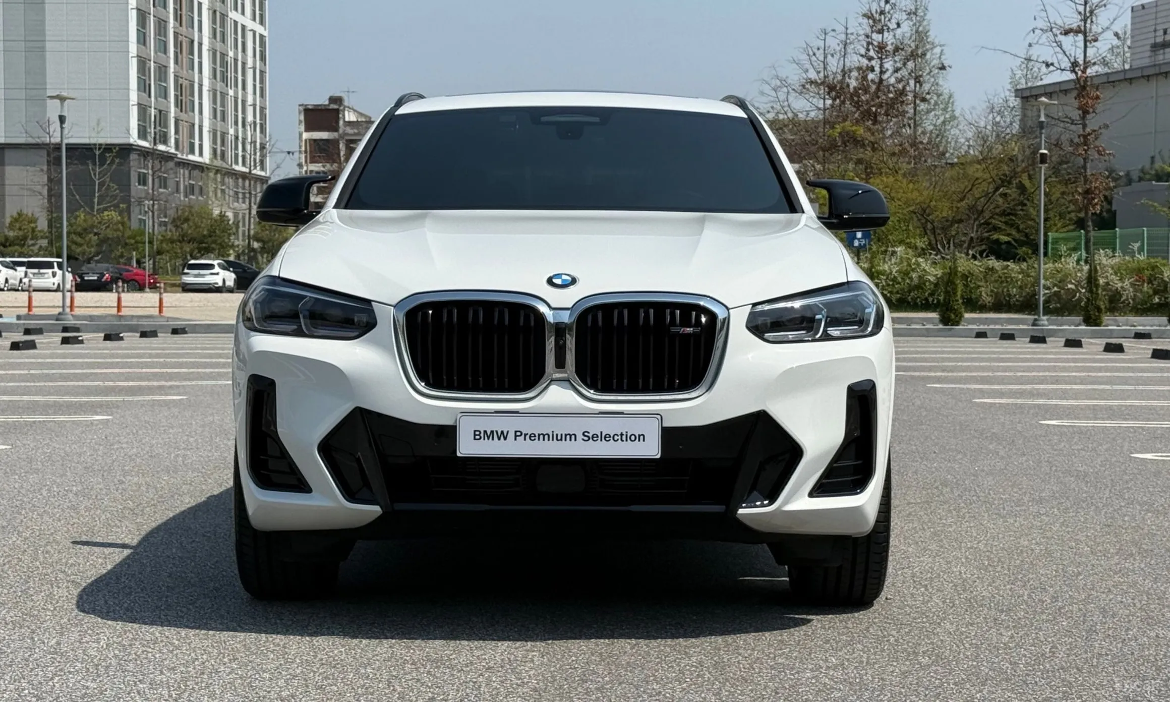 BMW X4 (G02) превью 3