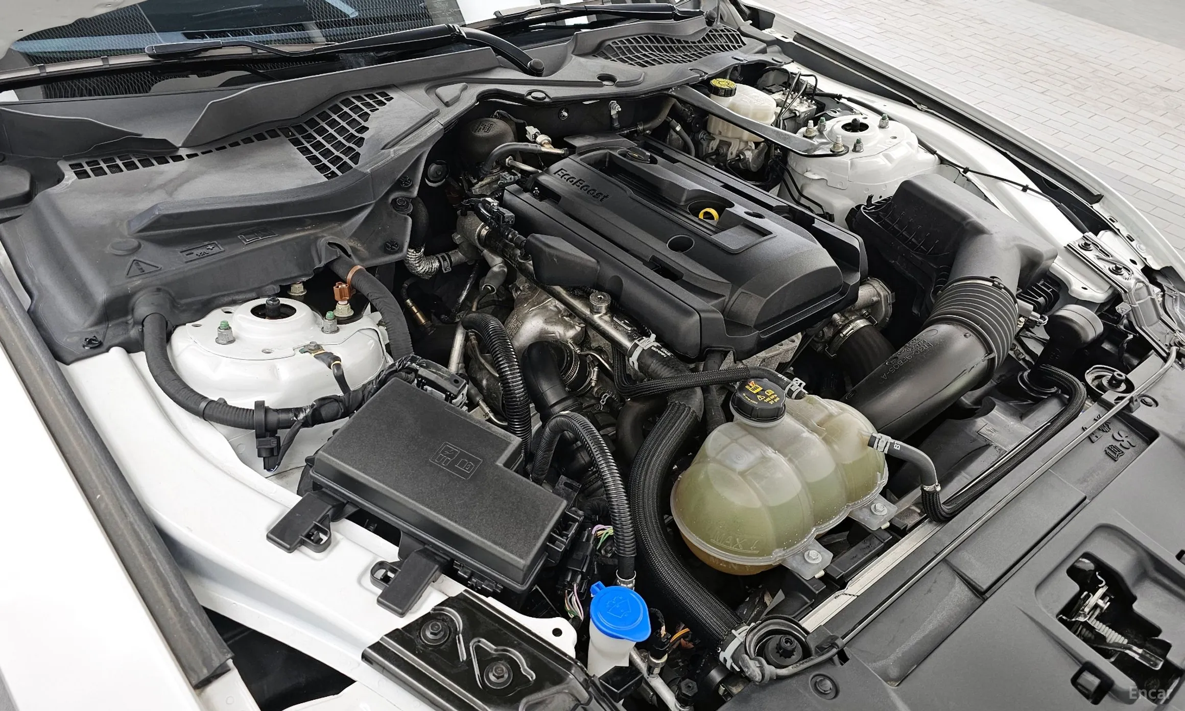 Ford Mustang превью 6