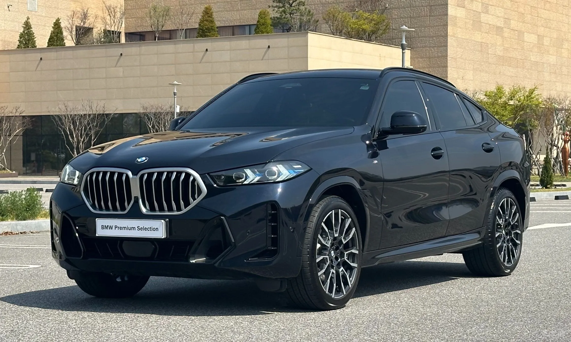 BMW X6 (G06)