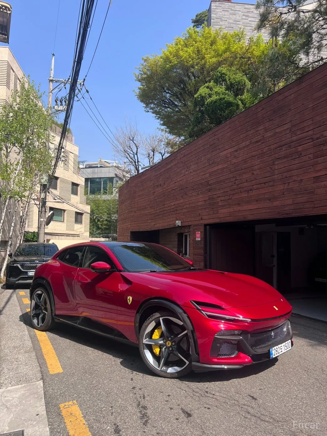 Ferrari Puro Sange