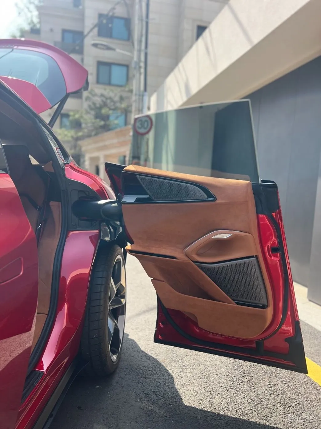 Ferrari Puro Sange превью 10