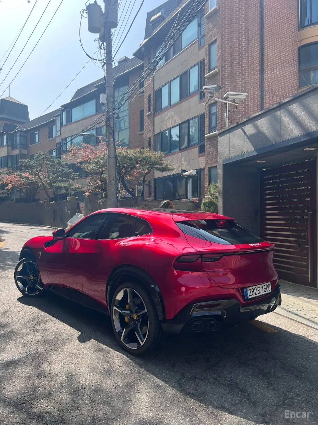 Ferrari Puro Sange