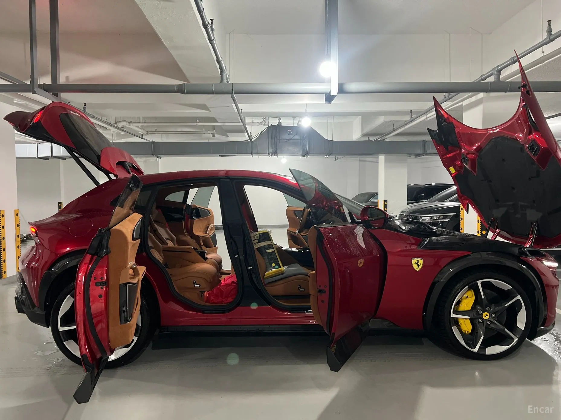 Ferrari Puro Sange превью 17