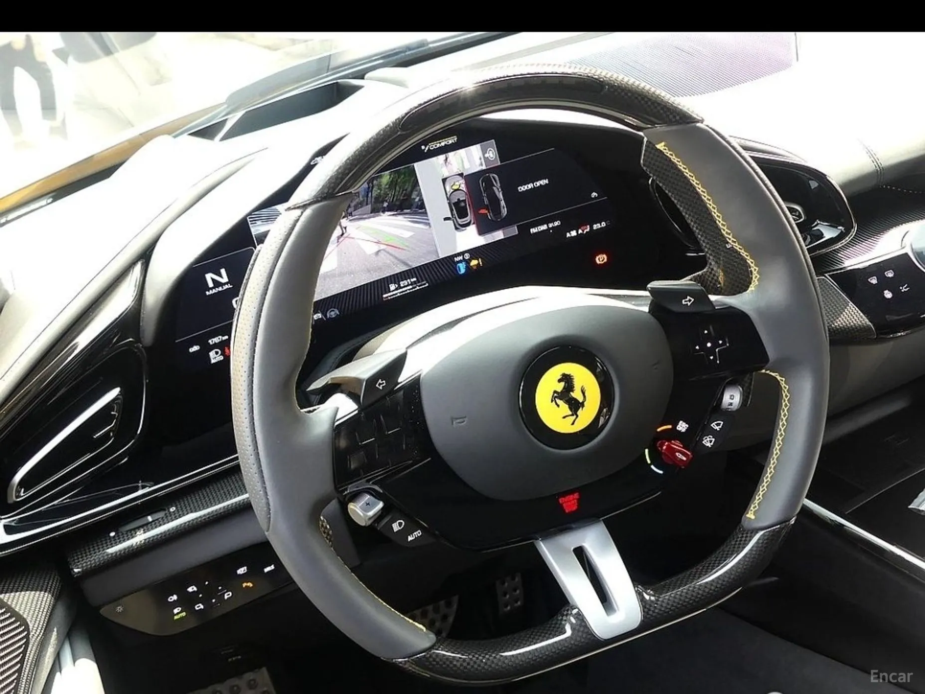 Ferrari Puro Sange превью 13