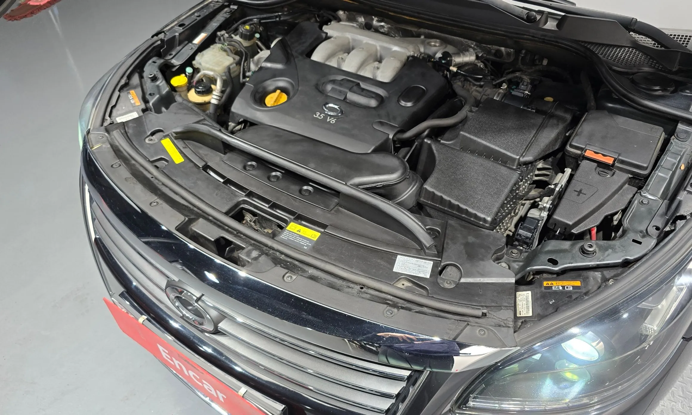 Renault Korea (Samsung) SM7 превью 6