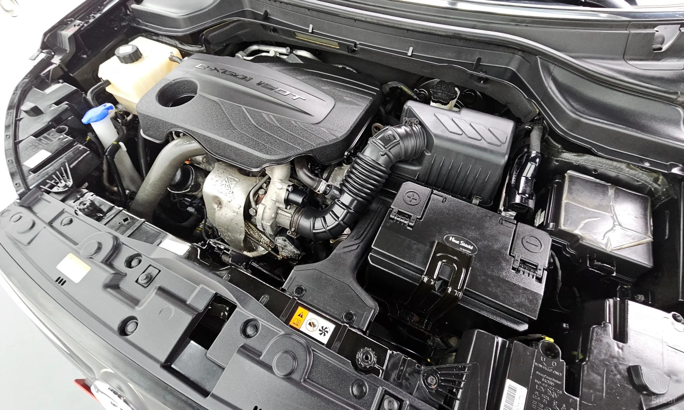 KG Mobility (SsangYong) Berry New Tivoli превью 6