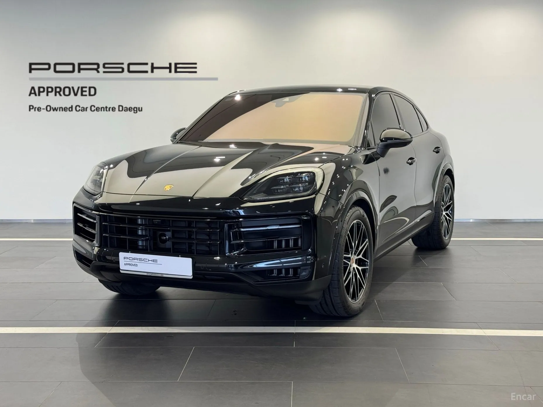 Cayenne (PO536)