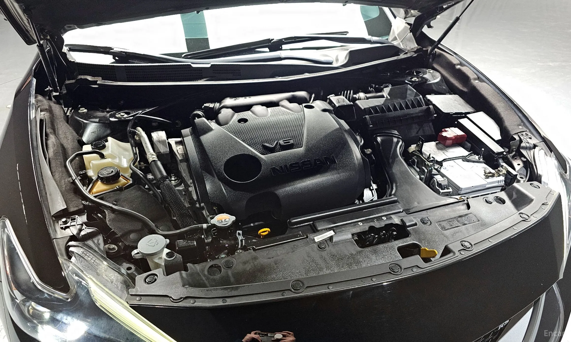Nissan Maxima (A36) превью 6