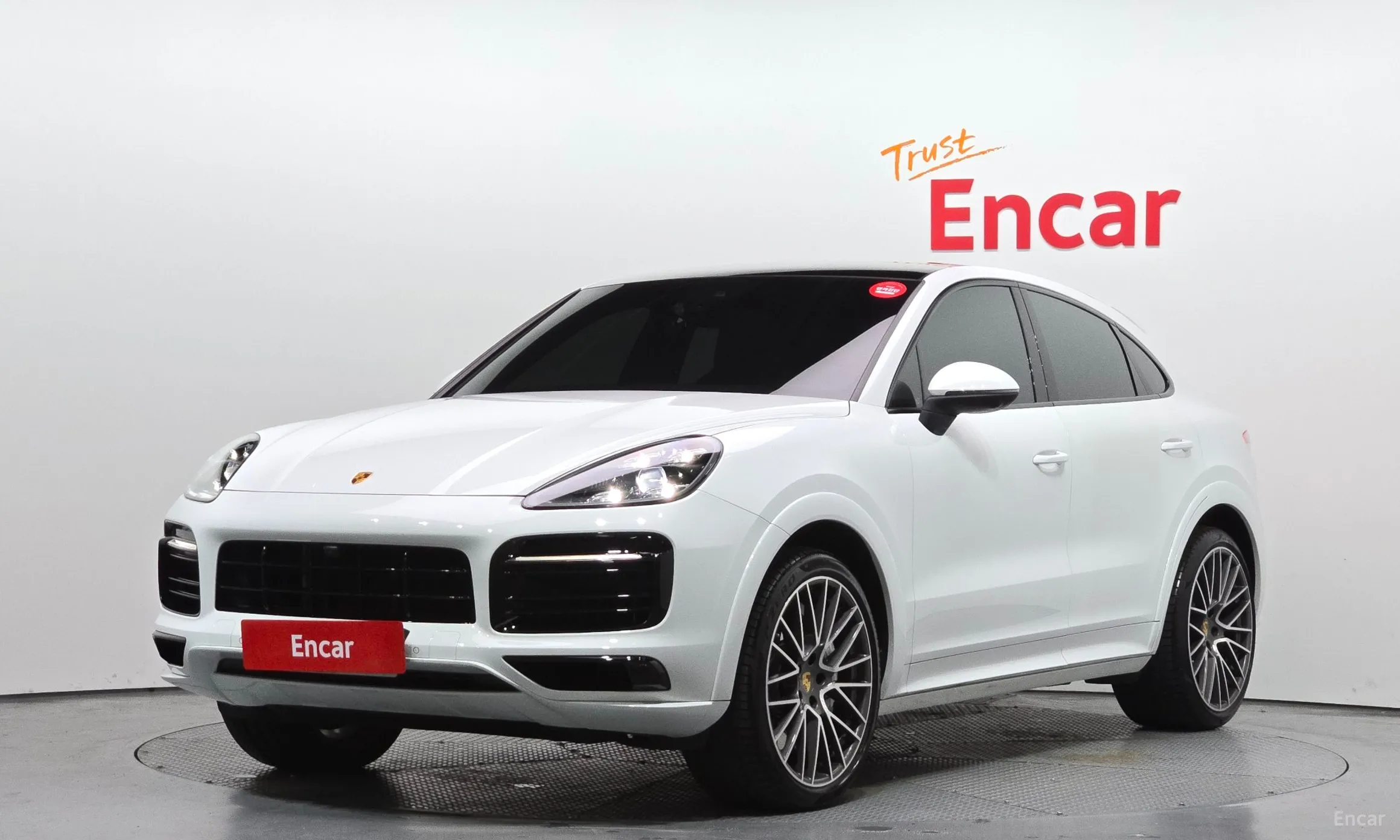 Cayenne (PO536)