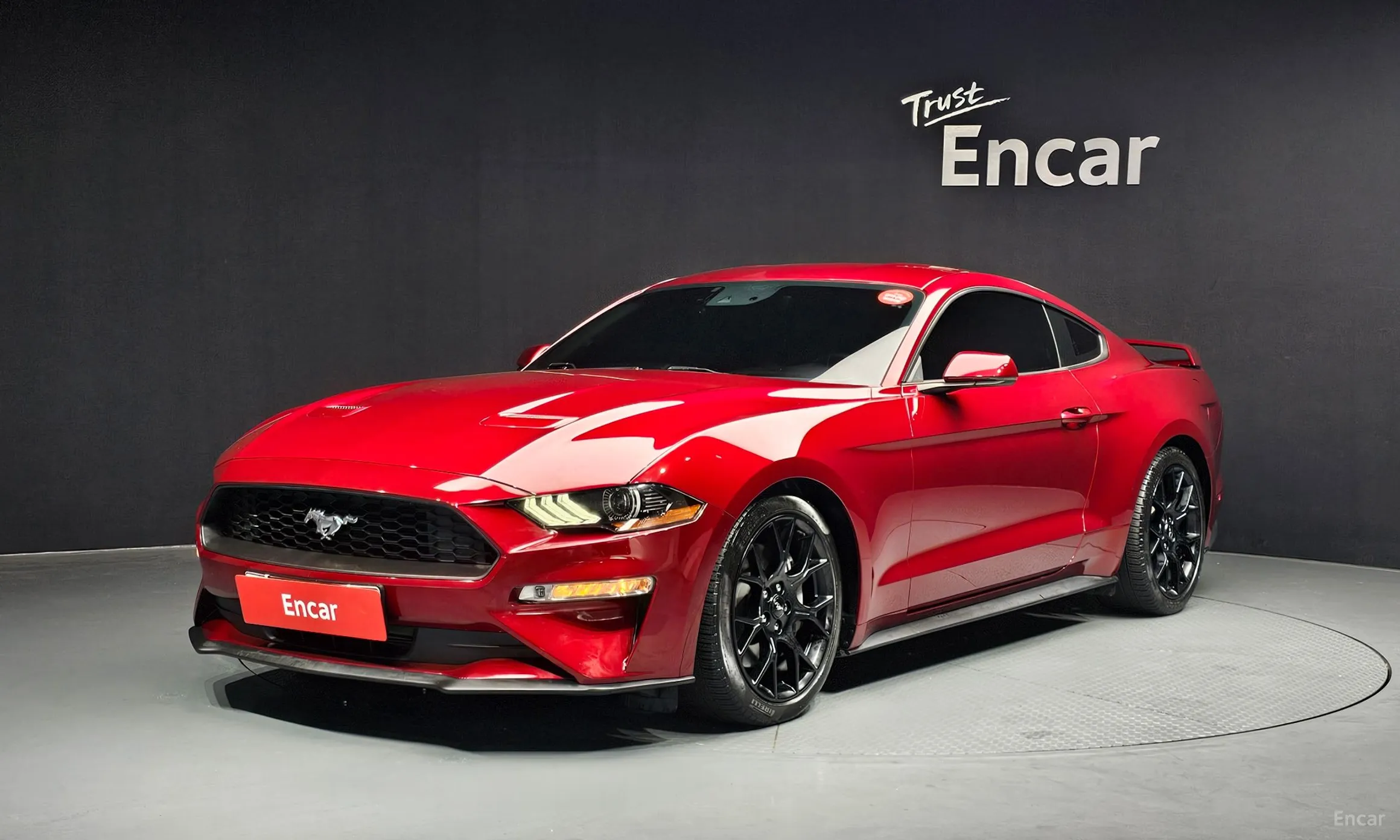Mustang