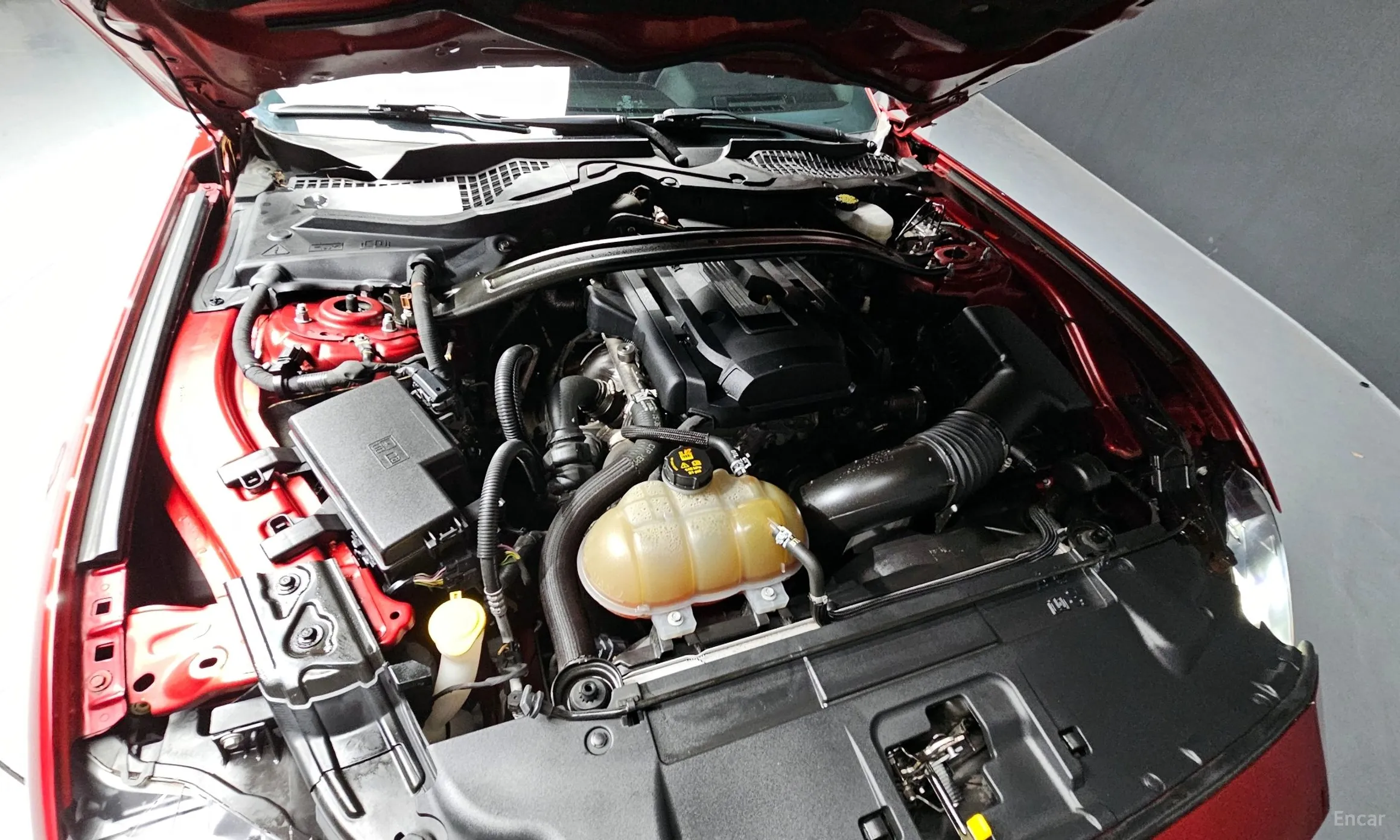 Ford Mustang превью 6