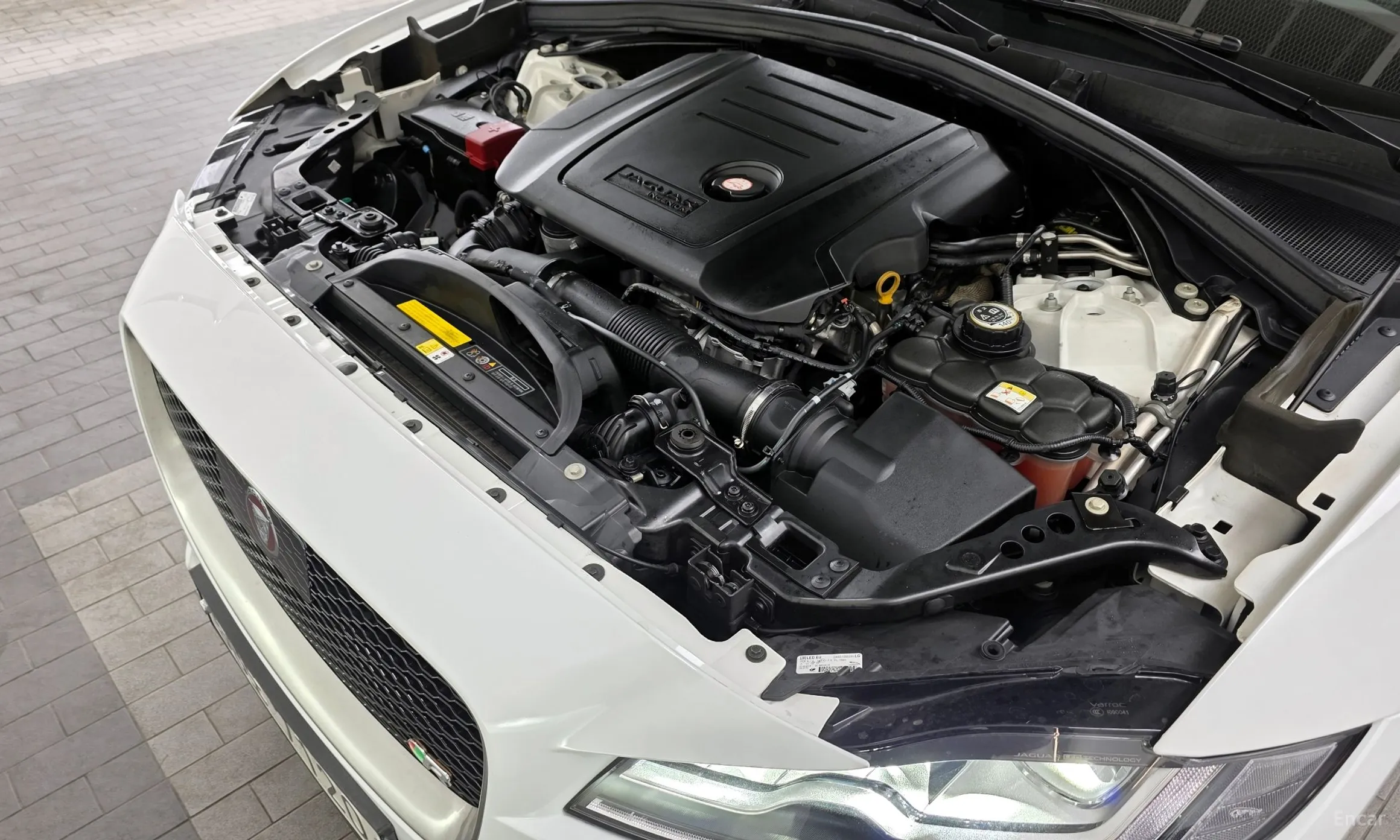 Jaguar F-PACE превью 6