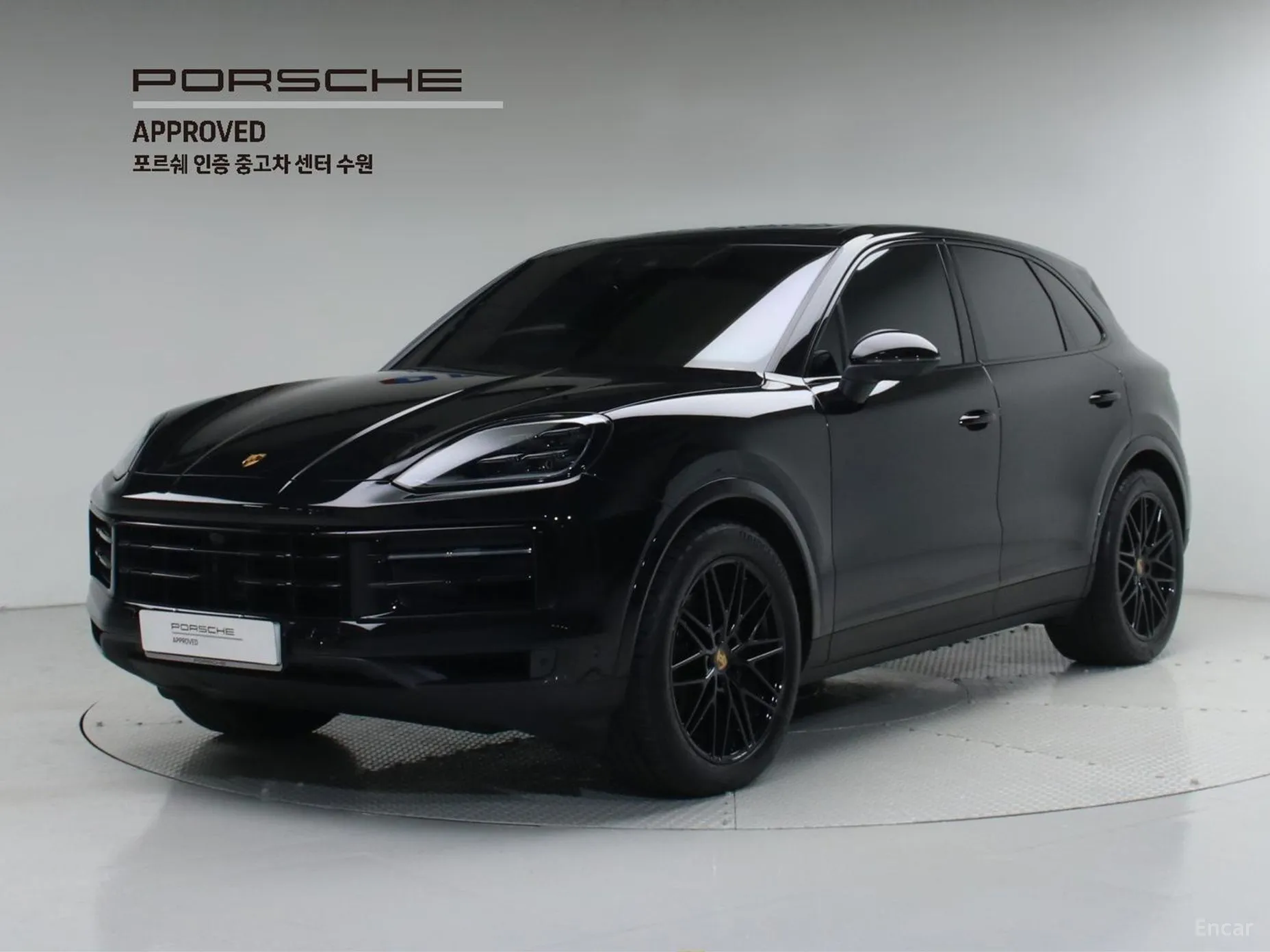 Cayenne (PO536)