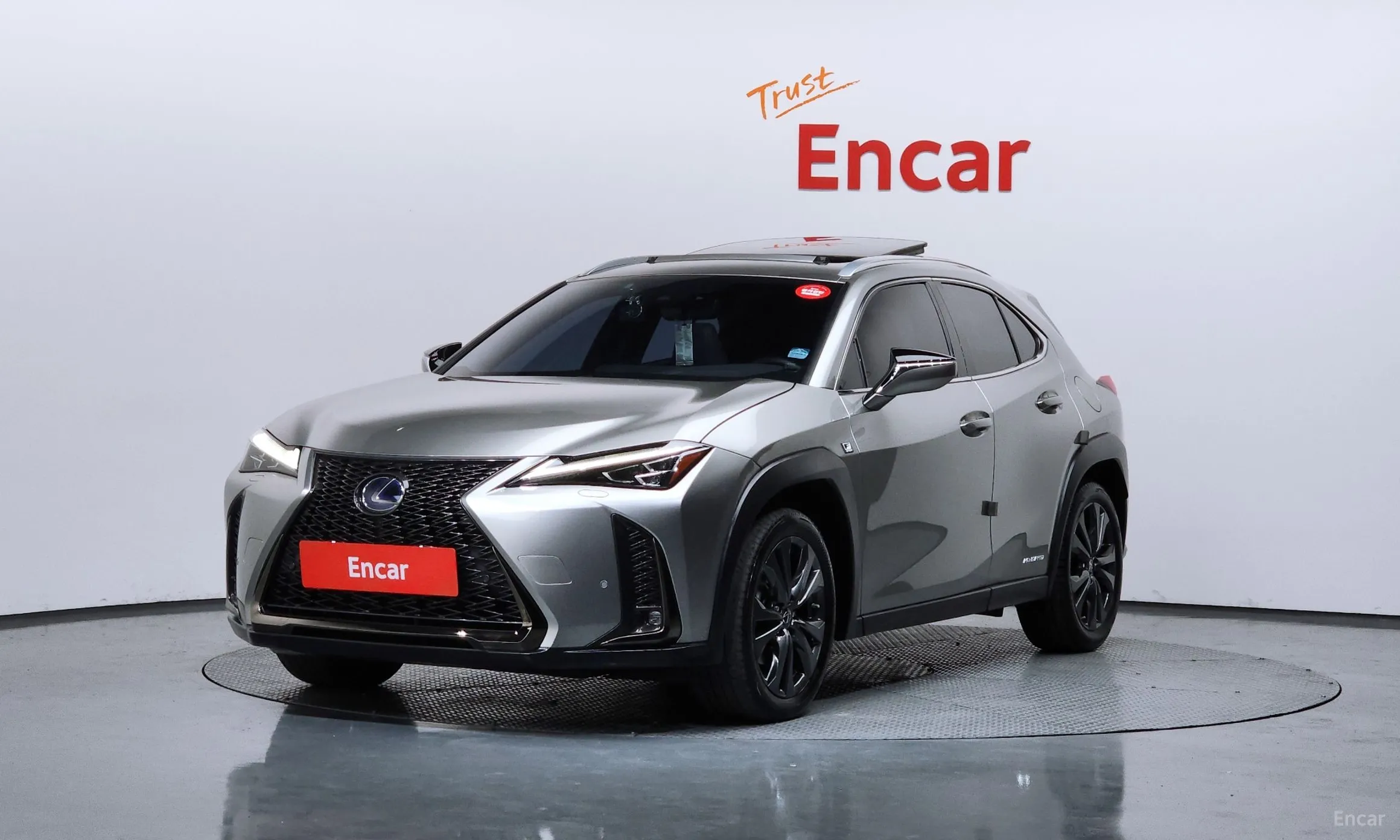 Lexus UX250h