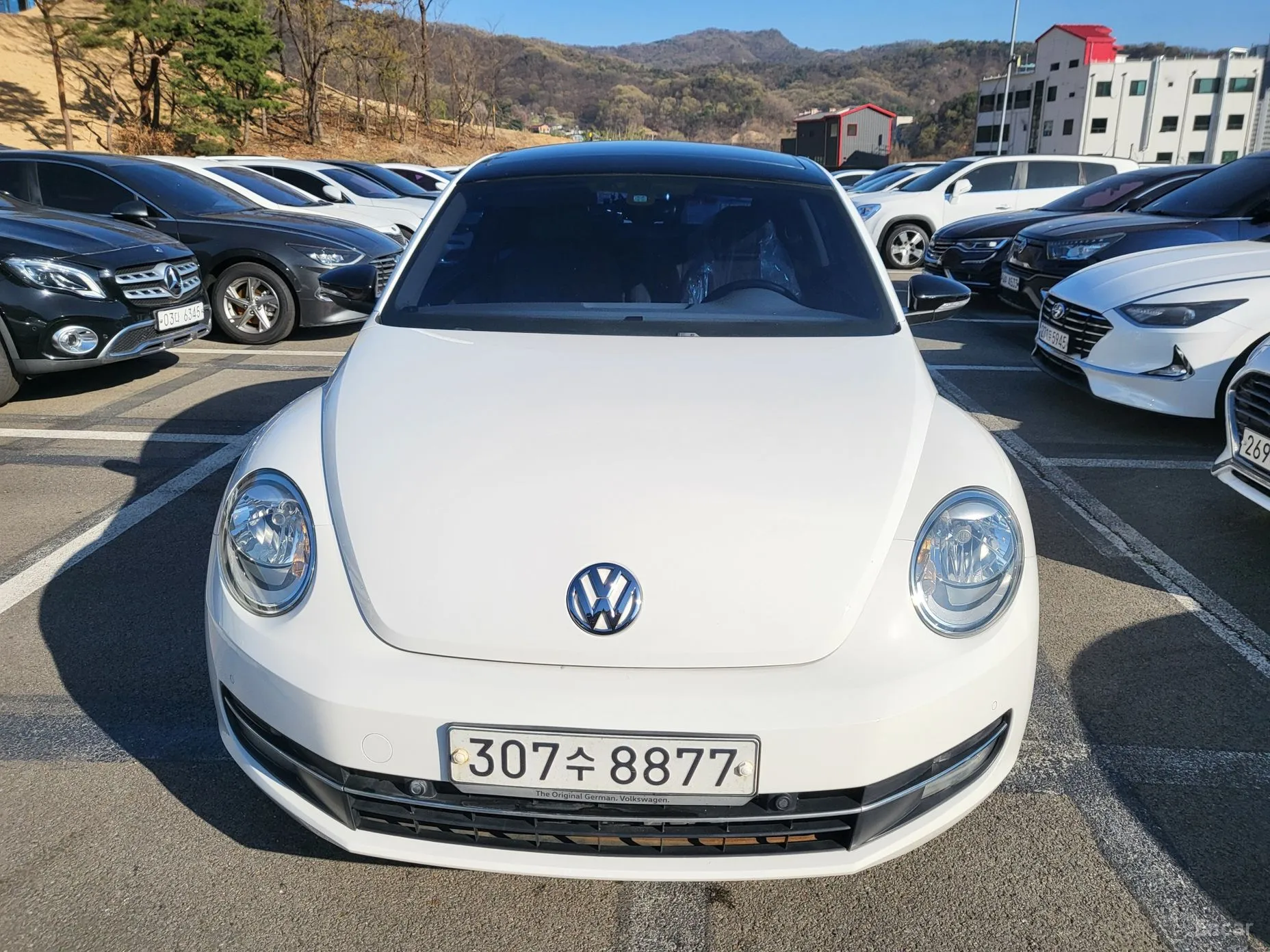 Volkswagen The Beetle