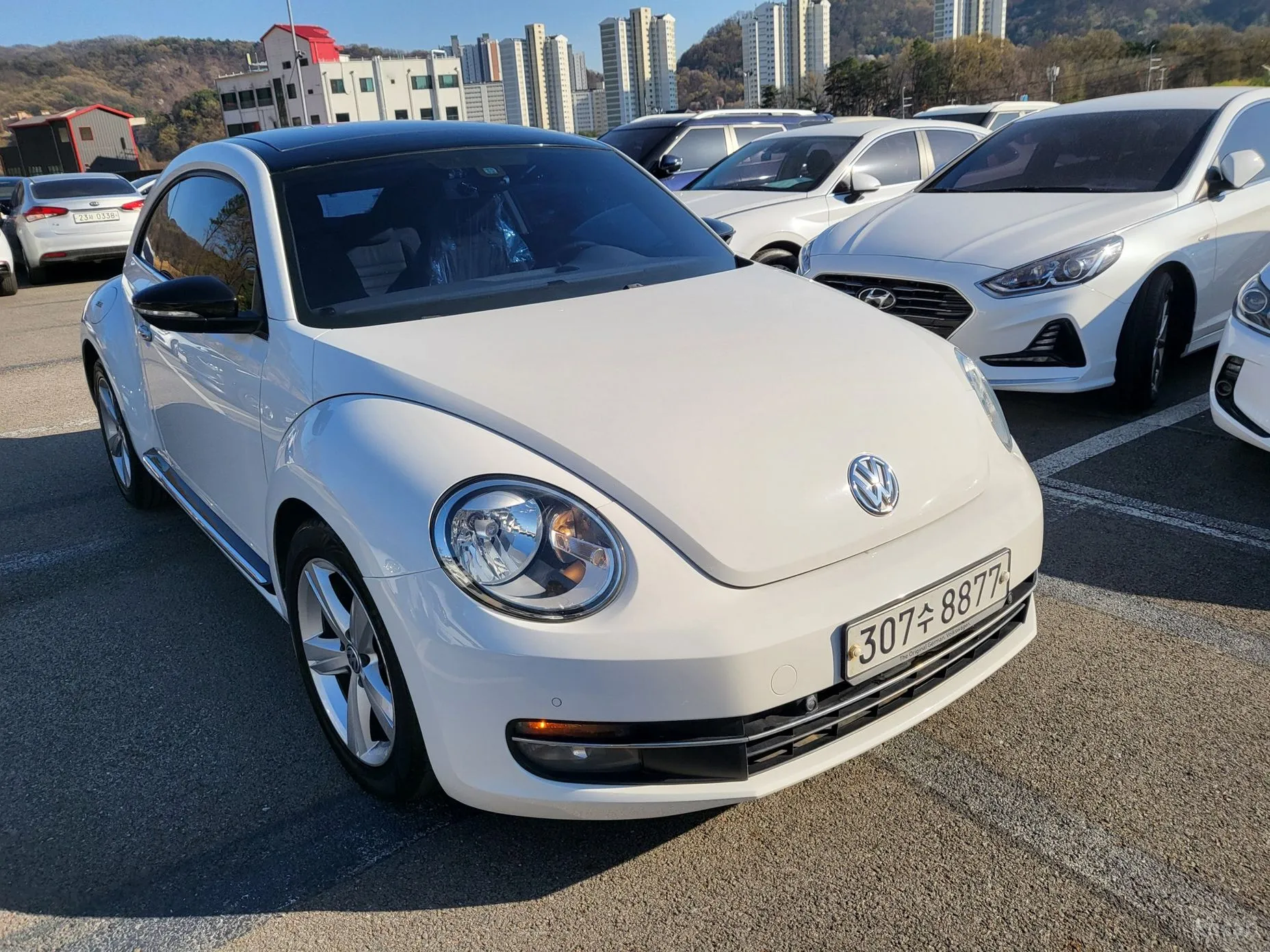Volkswagen The Beetle