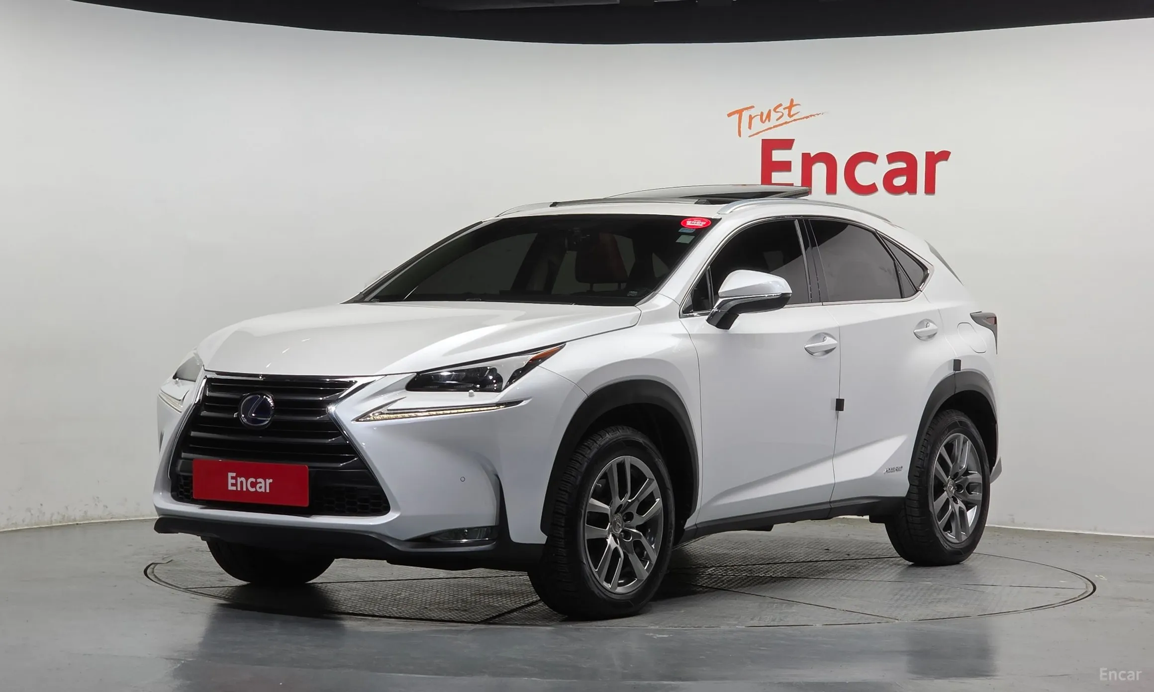 Lexus NX300h
