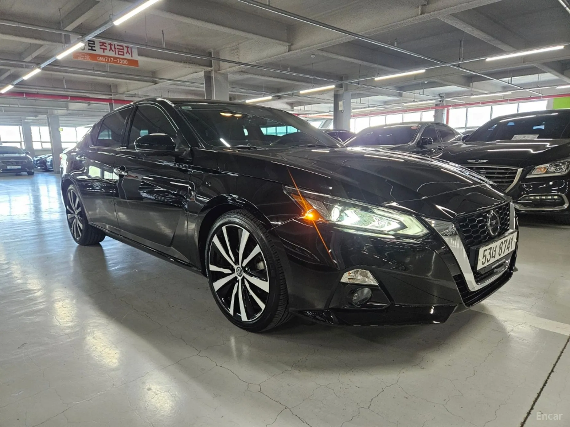 Nissan Altima (L34)